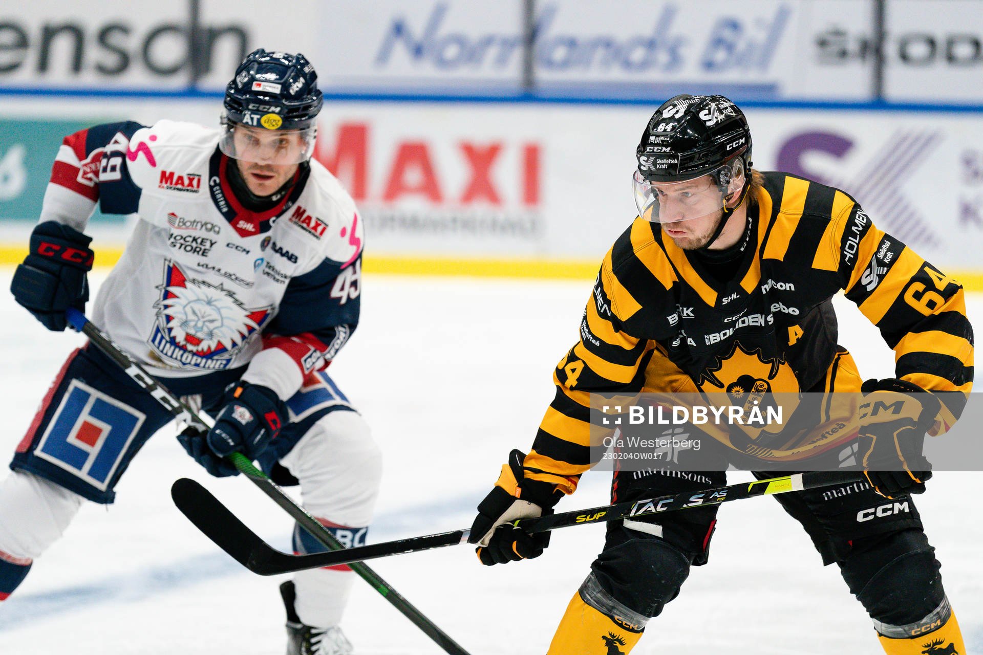 Linköpings Benjamin Maxwell och Skellefteås Jonathan Pudas
