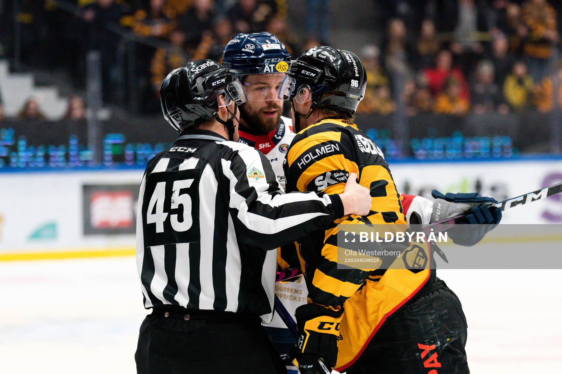 Linköpings Oscar Fantenberg och Skellefteås Rickard Hugg