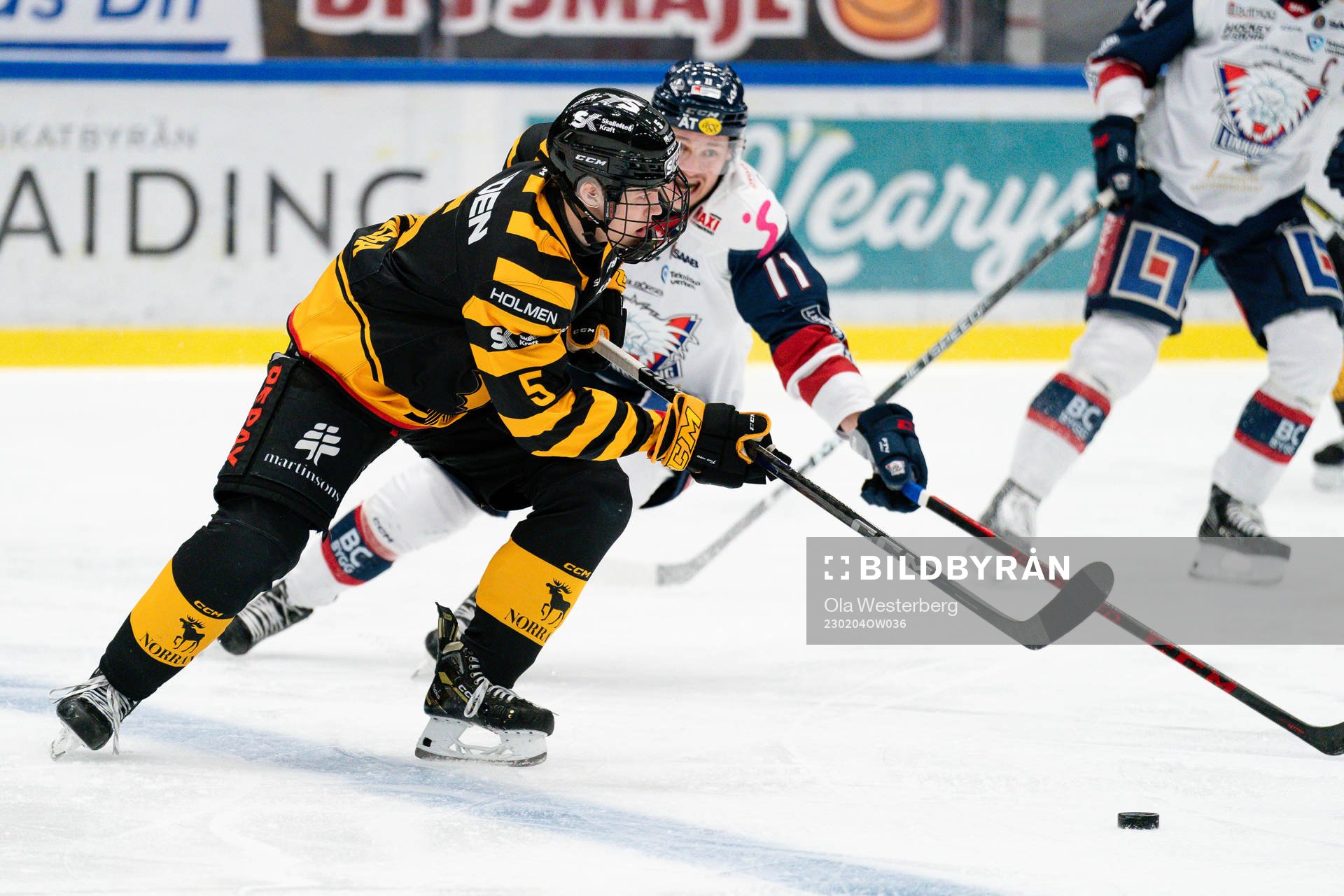 Skellefteås Axel Sandin-Pellikka