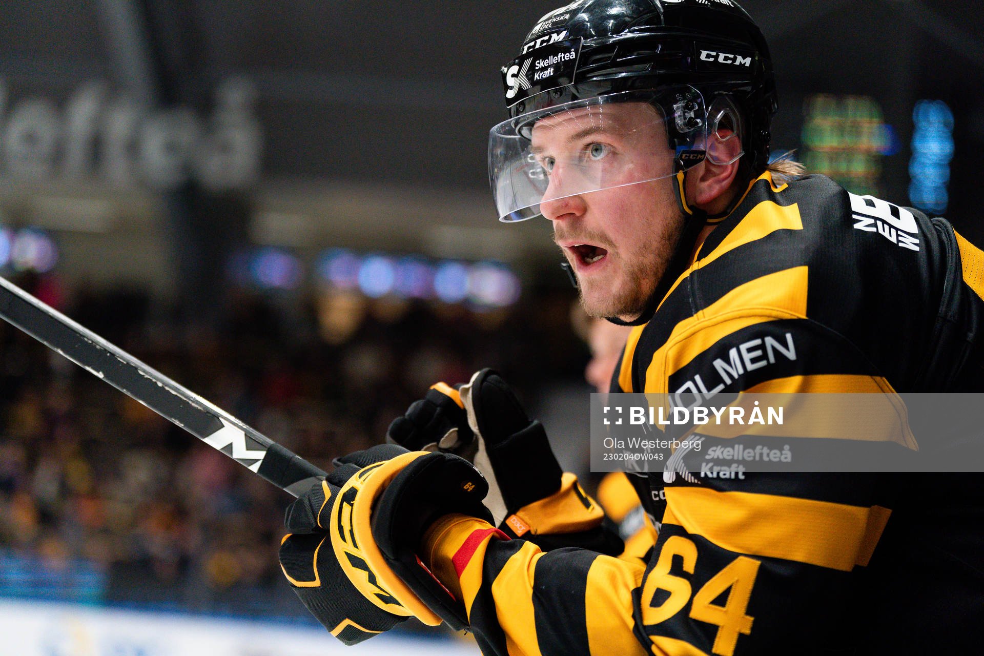 Skellefteås Jonathan Pudas