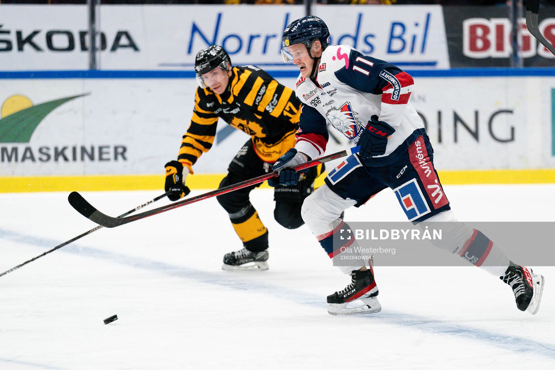 Linköpings Henrik Törnqvist och Skellefteås Pär Lindholm