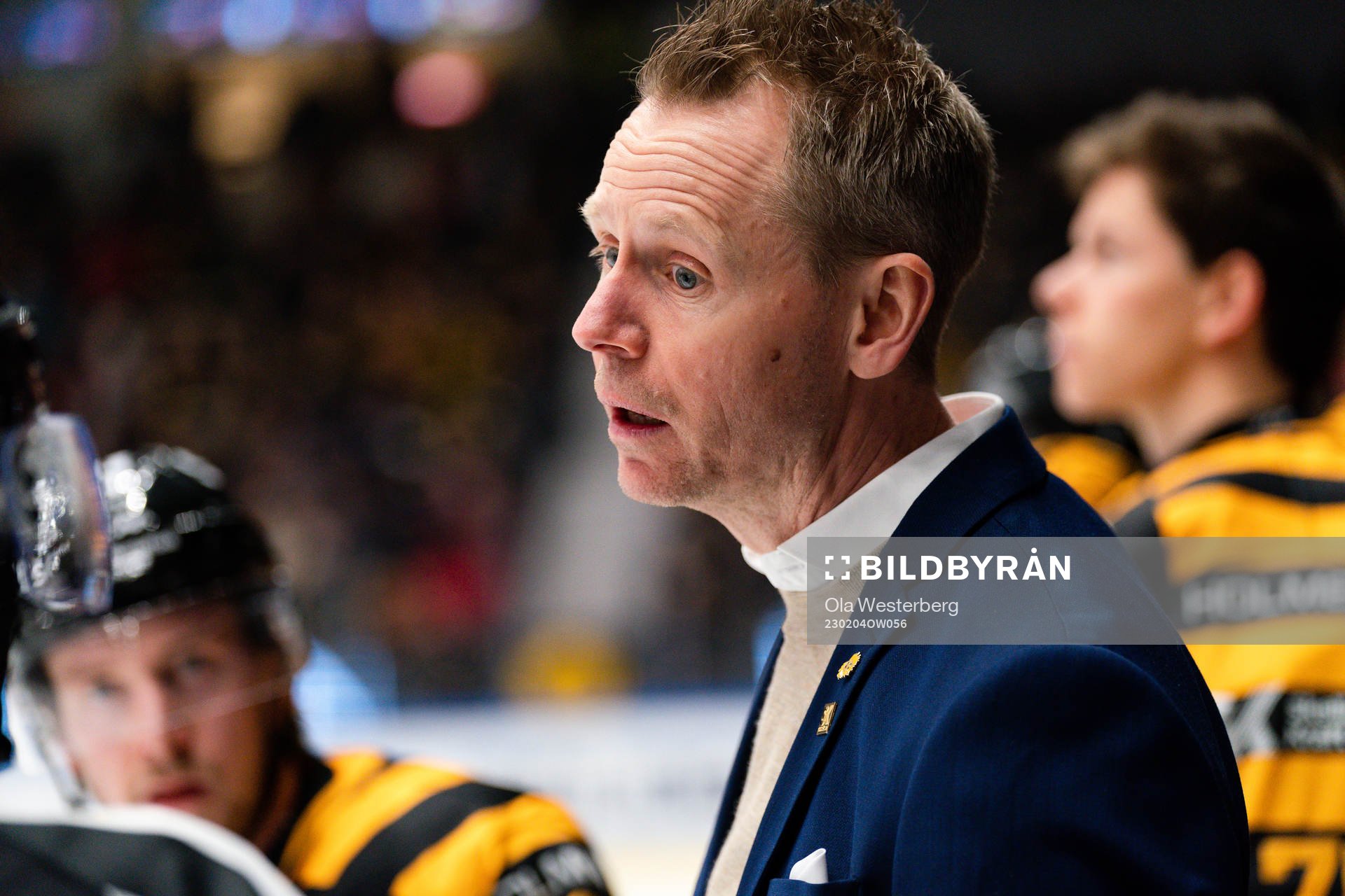 Skellefteås tränare Robert Ohlsson