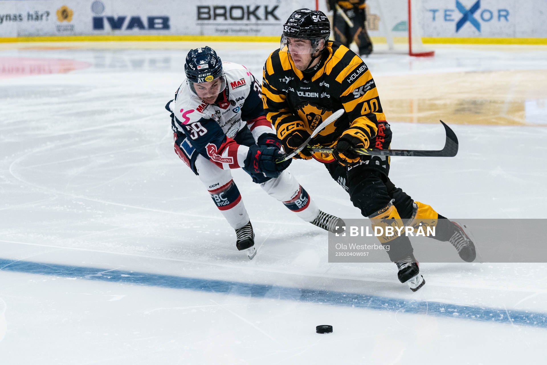 Linköpings Ty Rattie och Skellefteås Andreas Wingerli