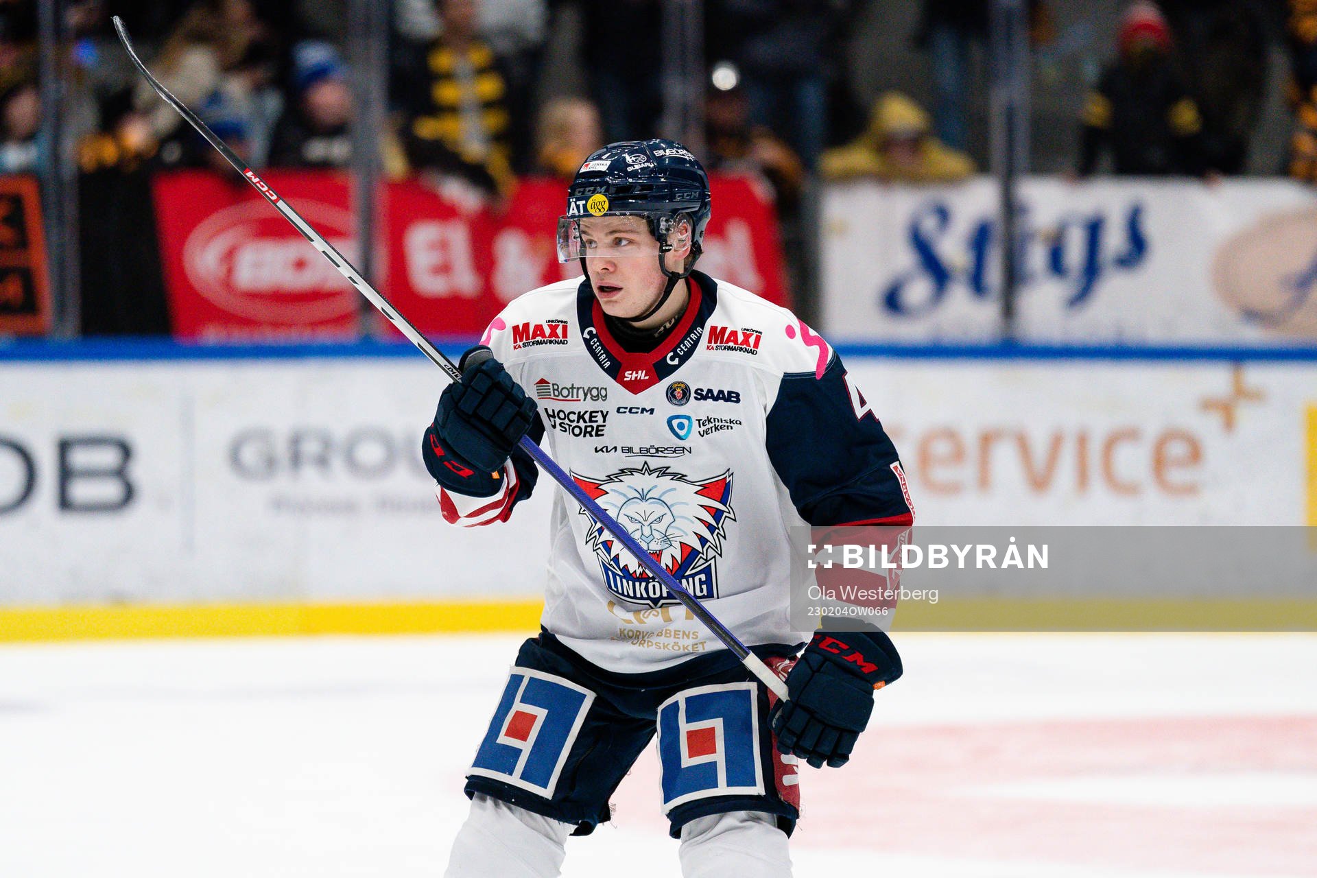 Linköpings Mattias Hävelid