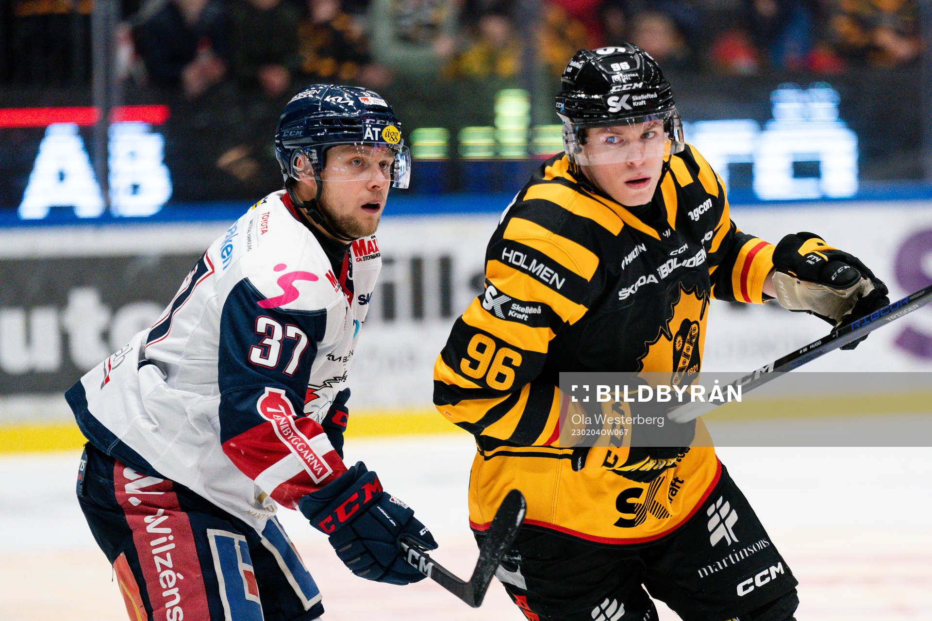 Linköpings Jesper Pettersson och Skellefteås Rickard Hugg