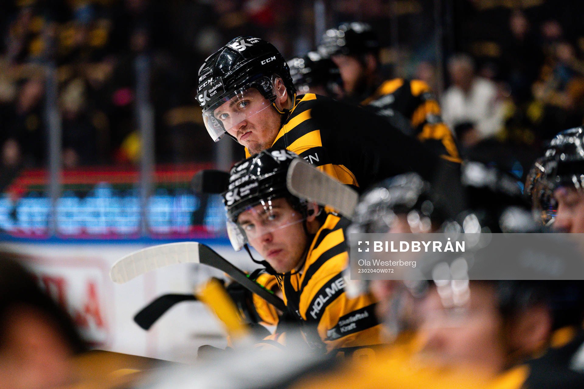 Skellefteås Max Lindholm