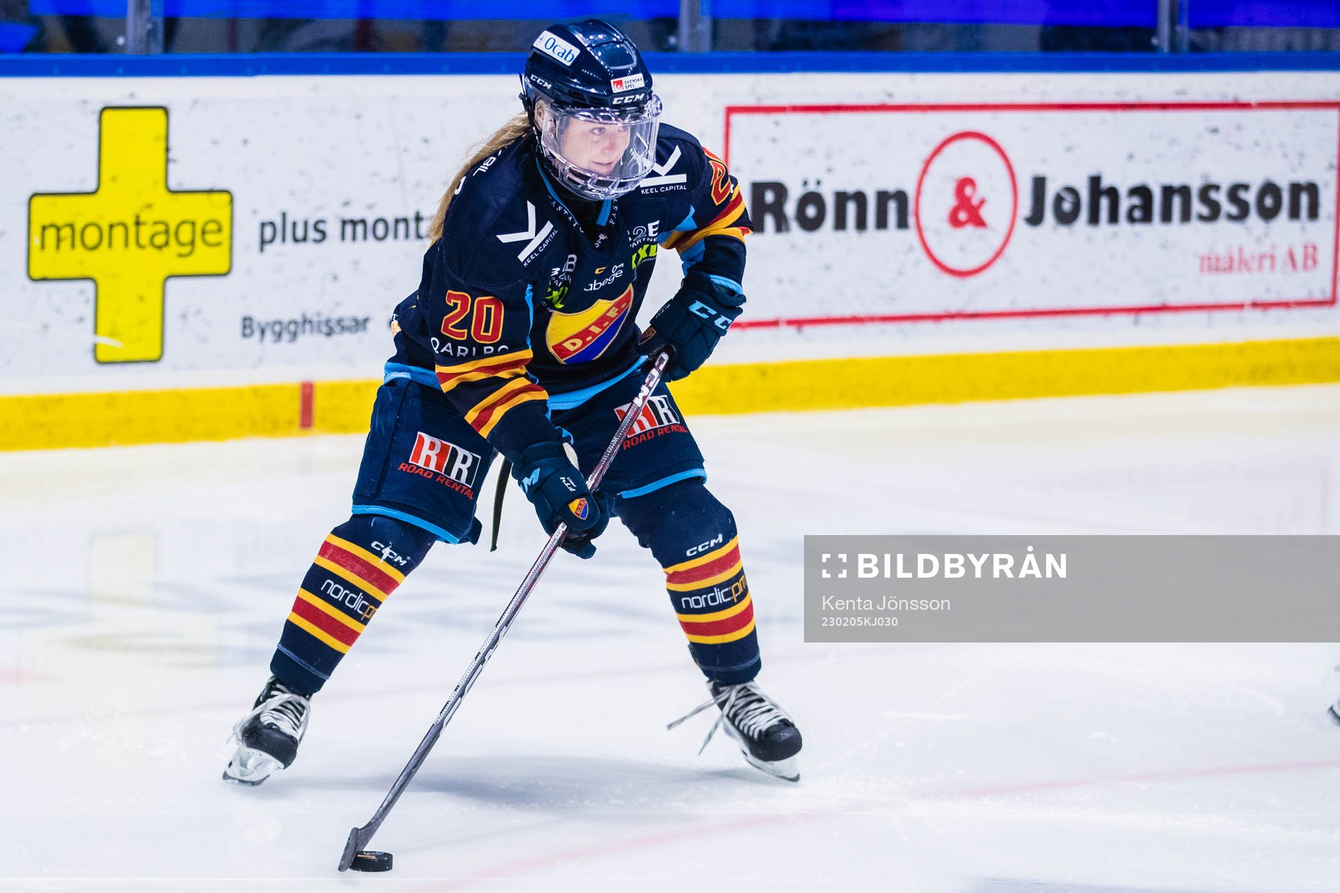 Djurgårdens Brette Pettet