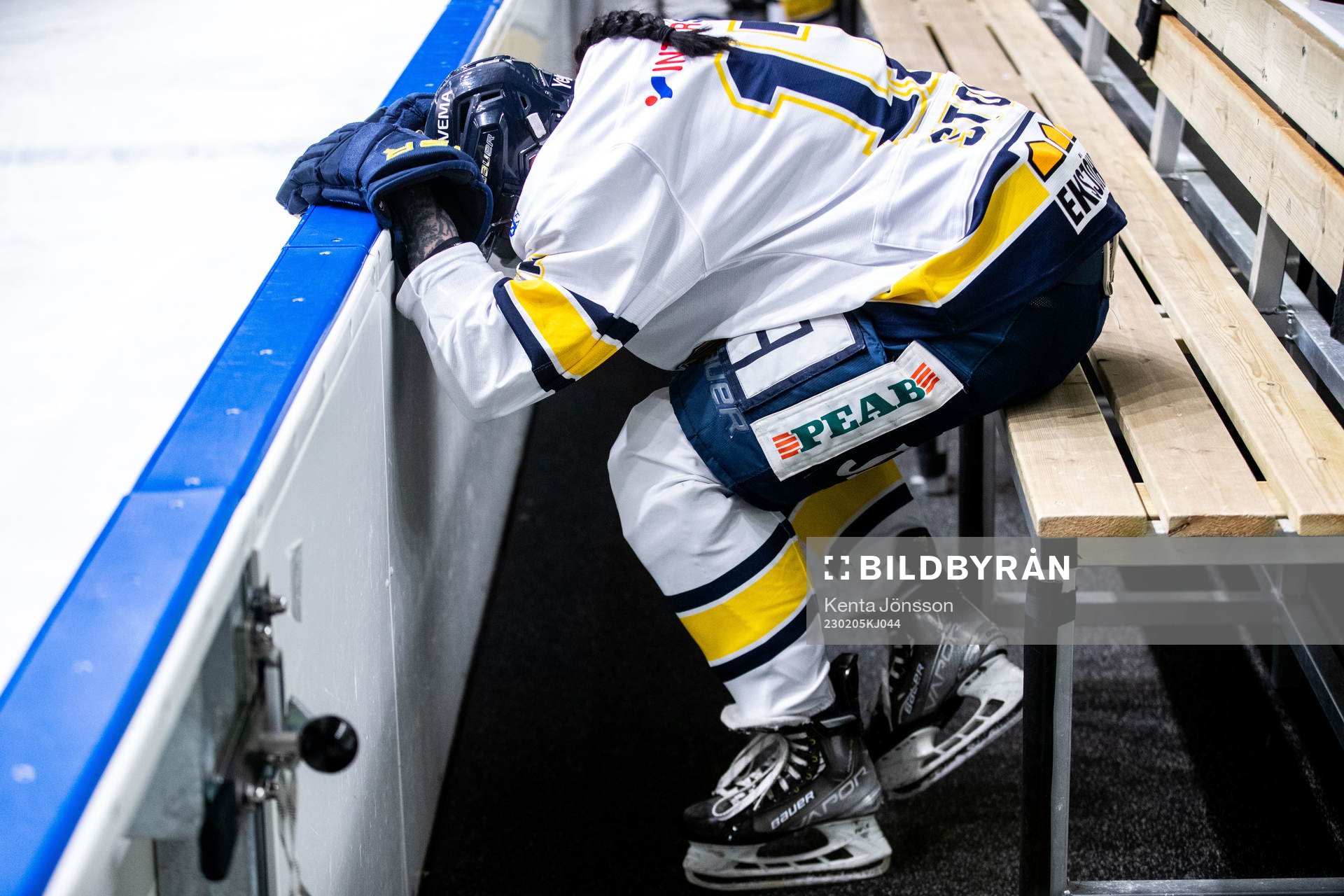 HV71s Danielle Stone har ont