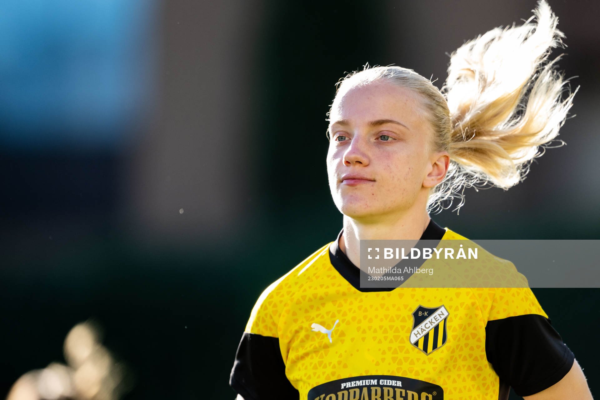 Anna Sandberg