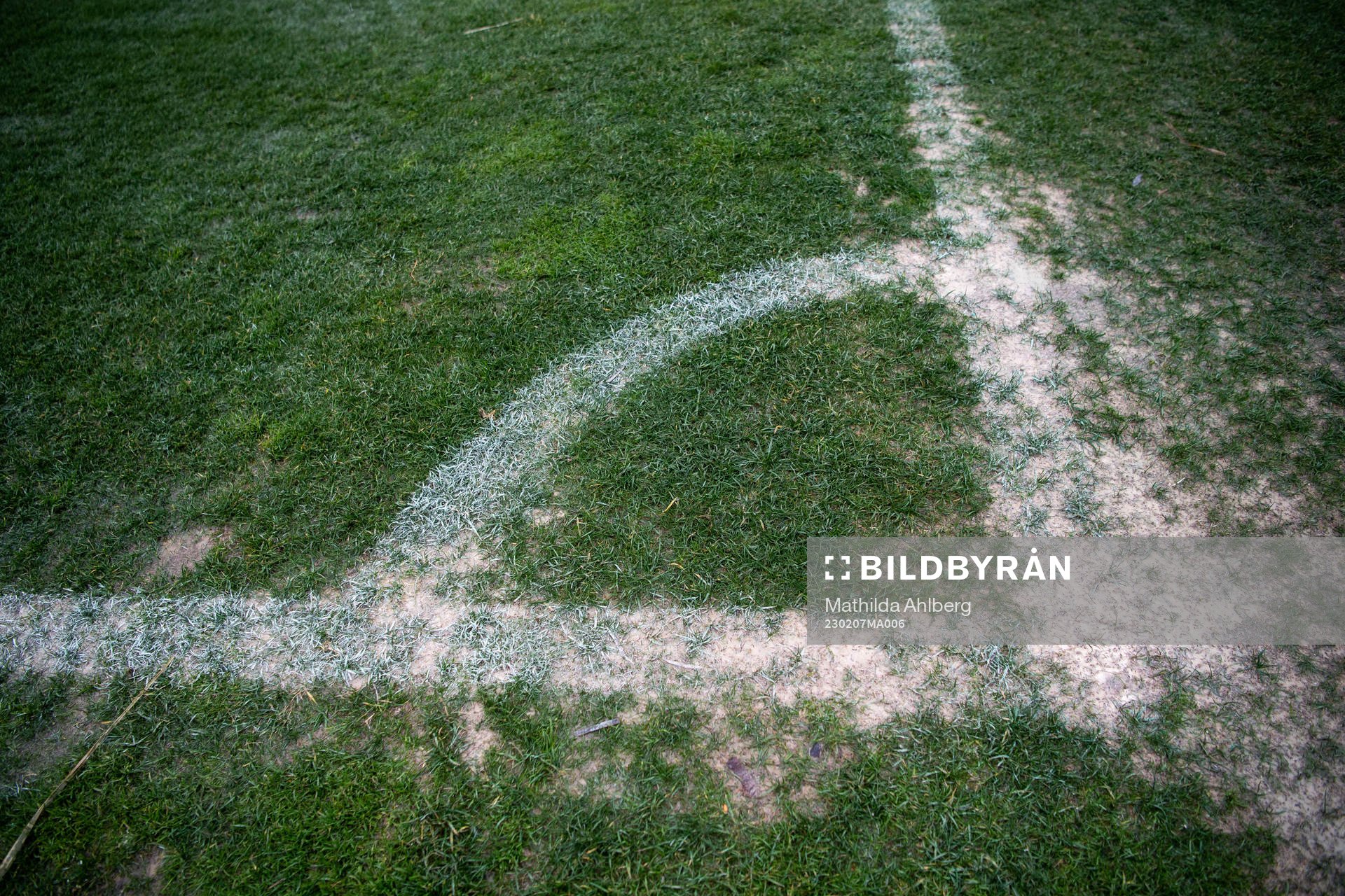 The pitch at Marbella Football Center