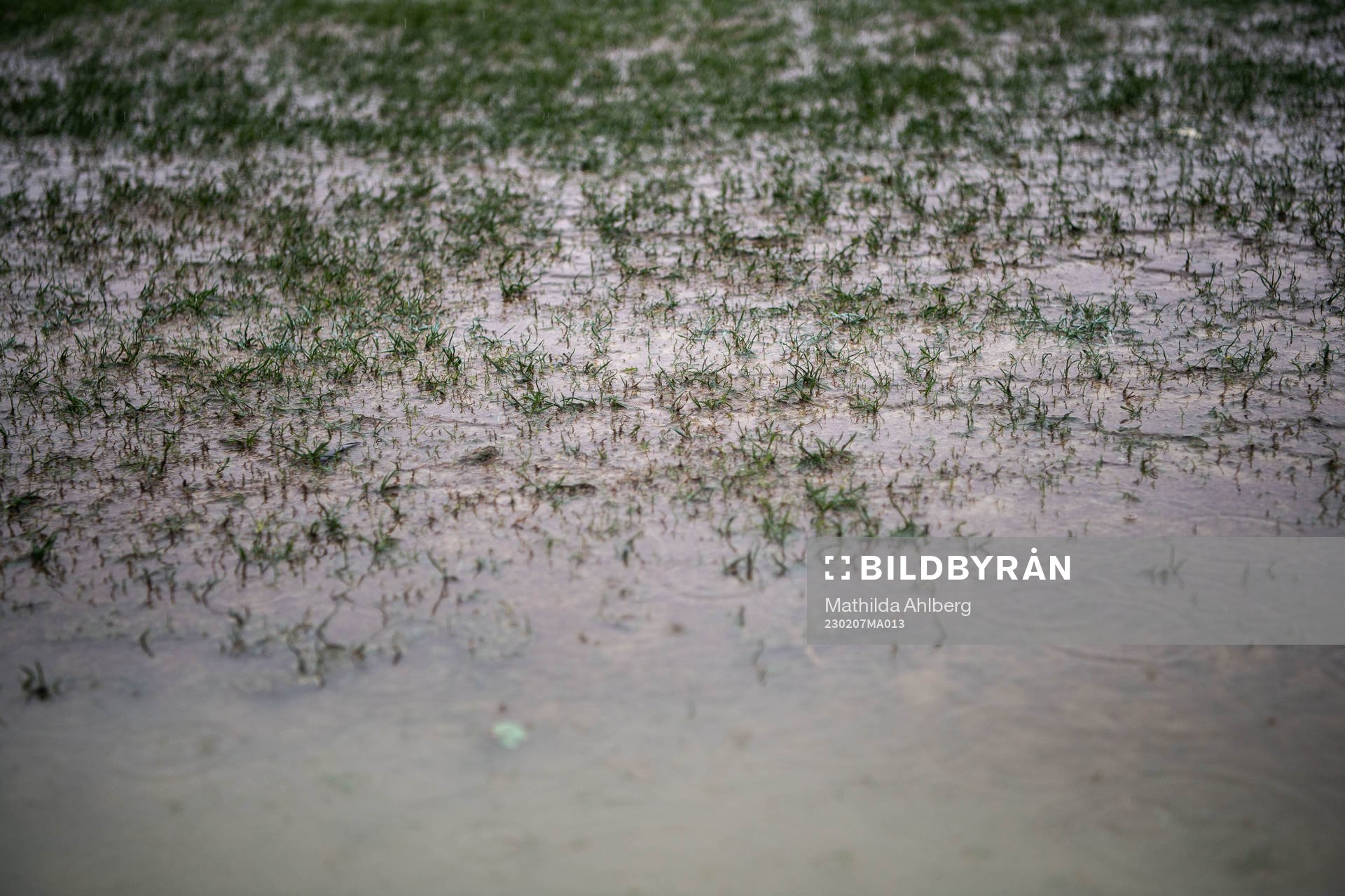 The pitch at Marbella Football Center