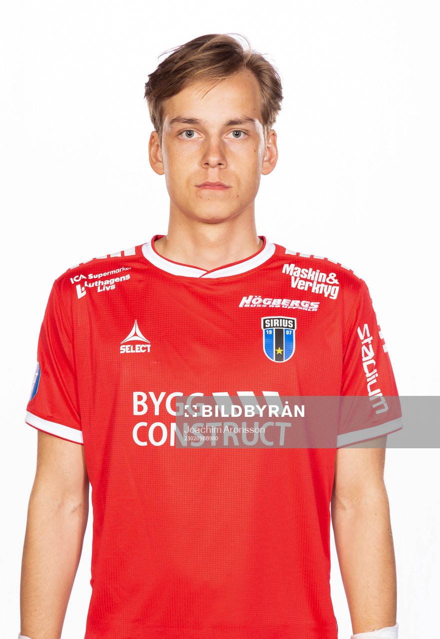 Sirius Hannes Sveijer