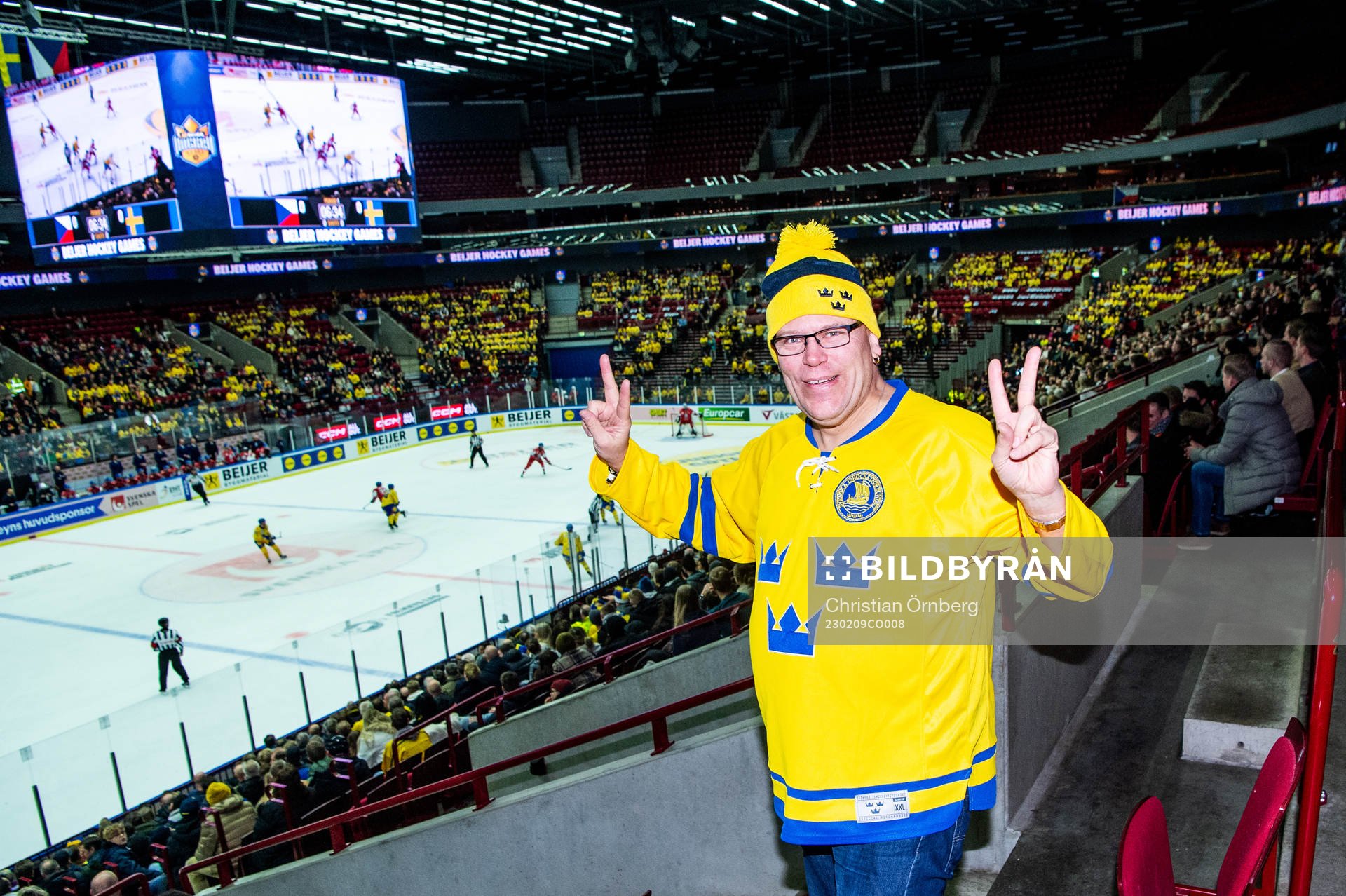 Swedish supporter