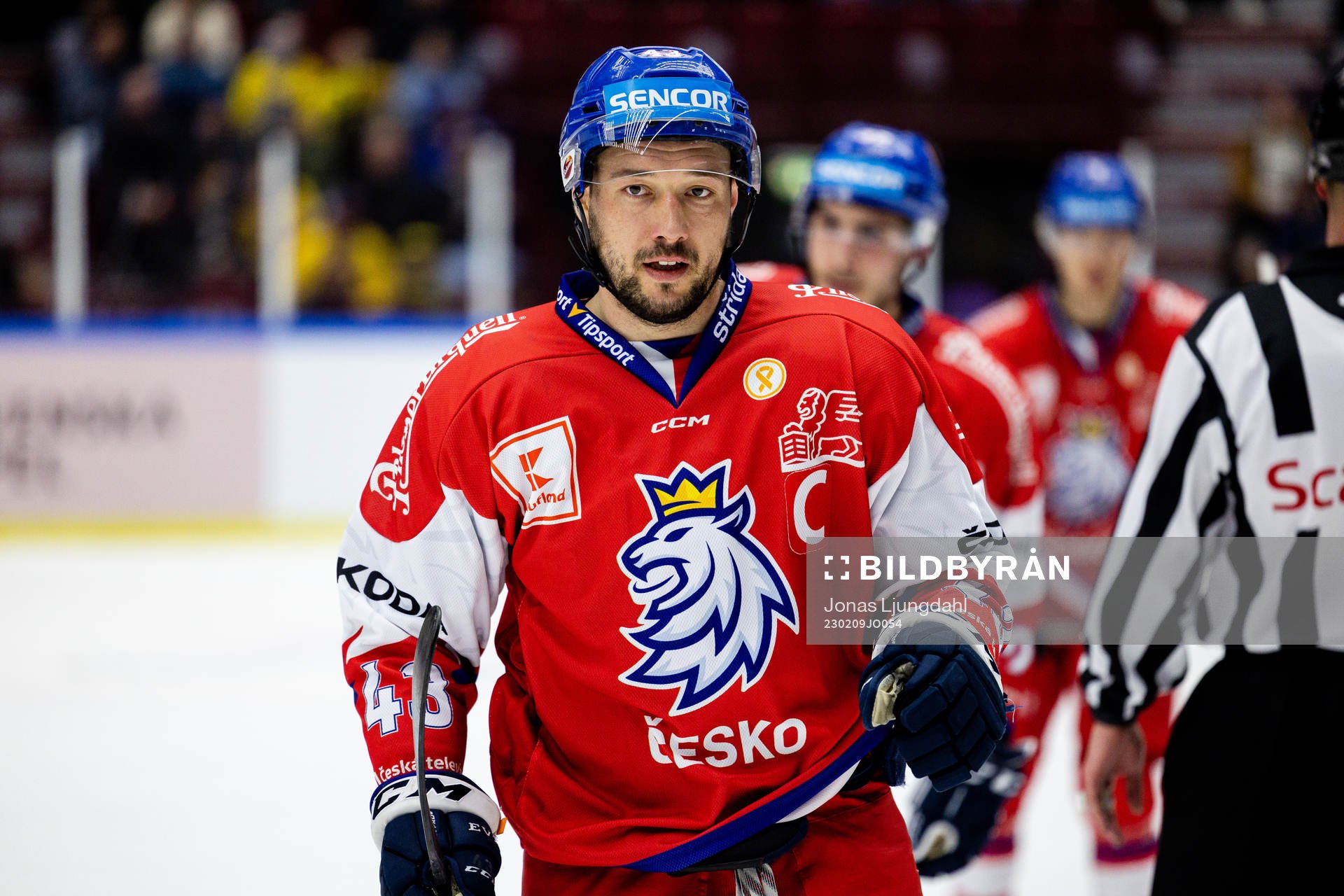 Jan Kovar of Czech Republic celebrates the 0-1 goal