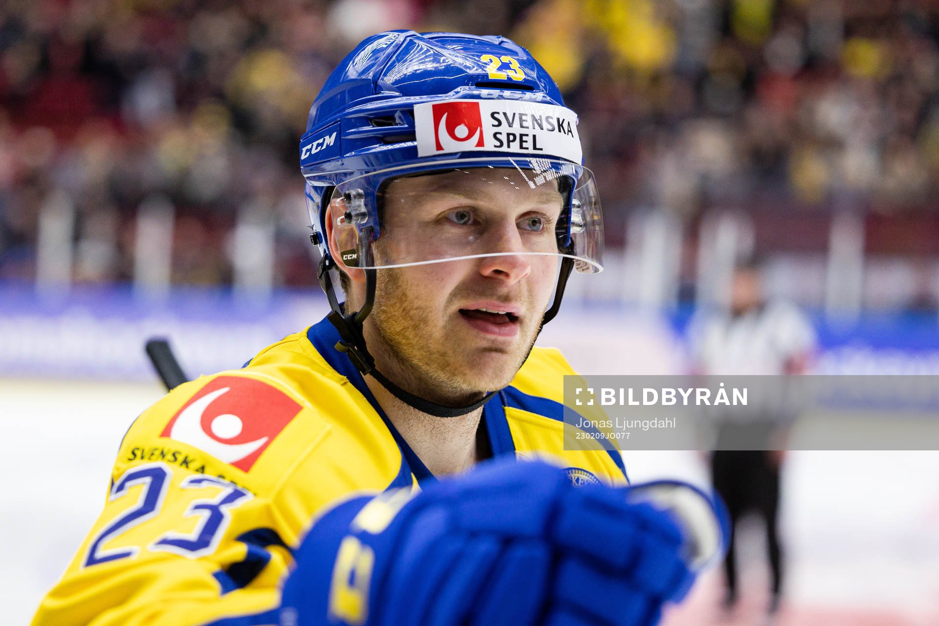 Lucas Wallmark of Sweden celebrates the 1-1 goal