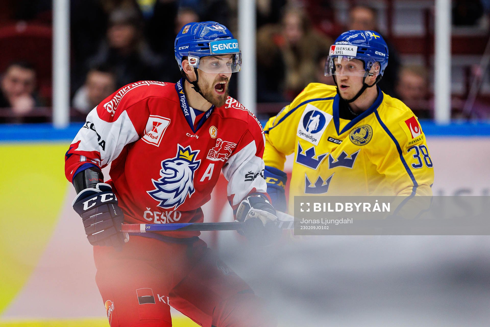Jiri Smejkal of Czech Republic and Olle Alsing of Sweden