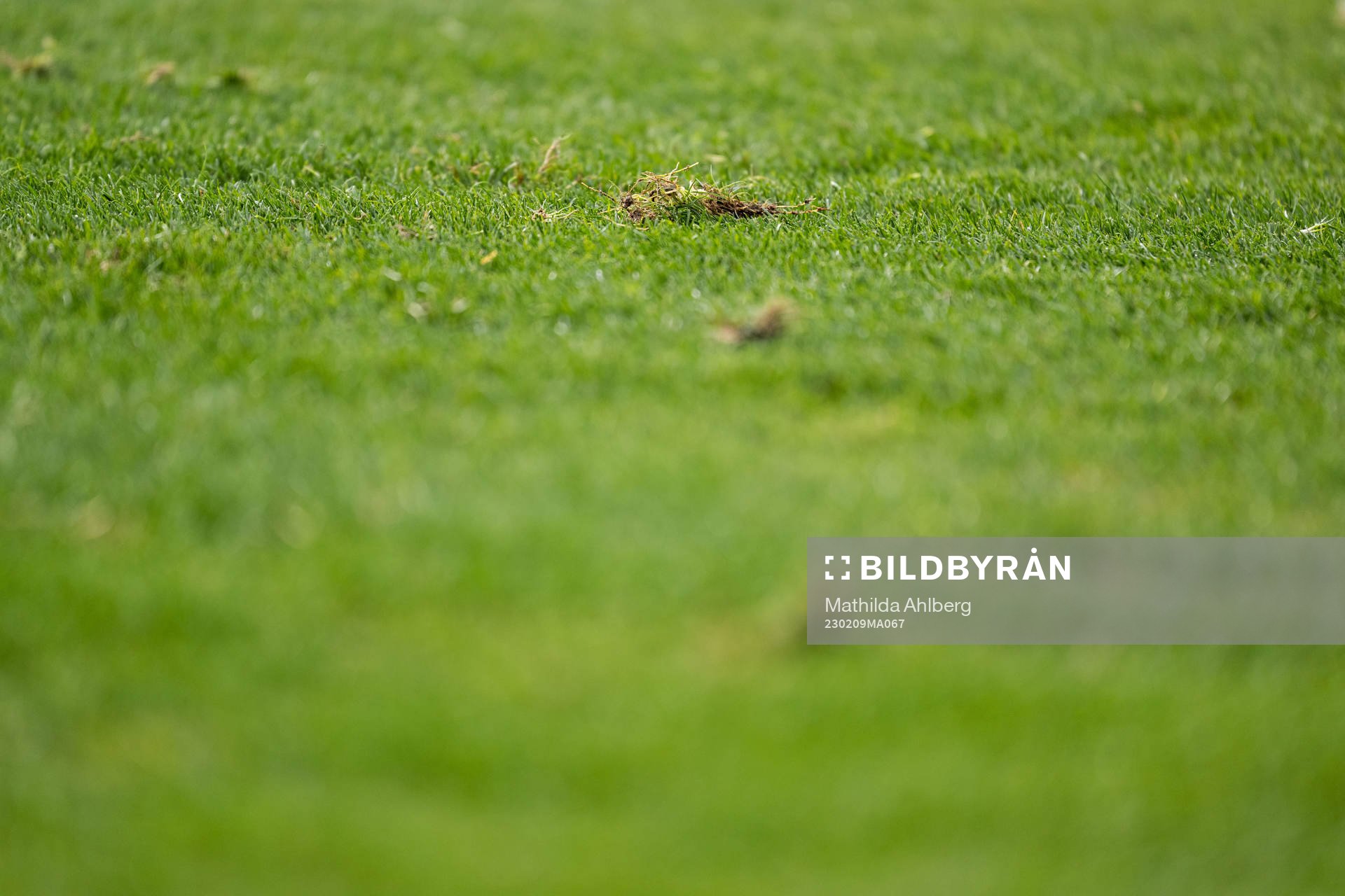 The pitch