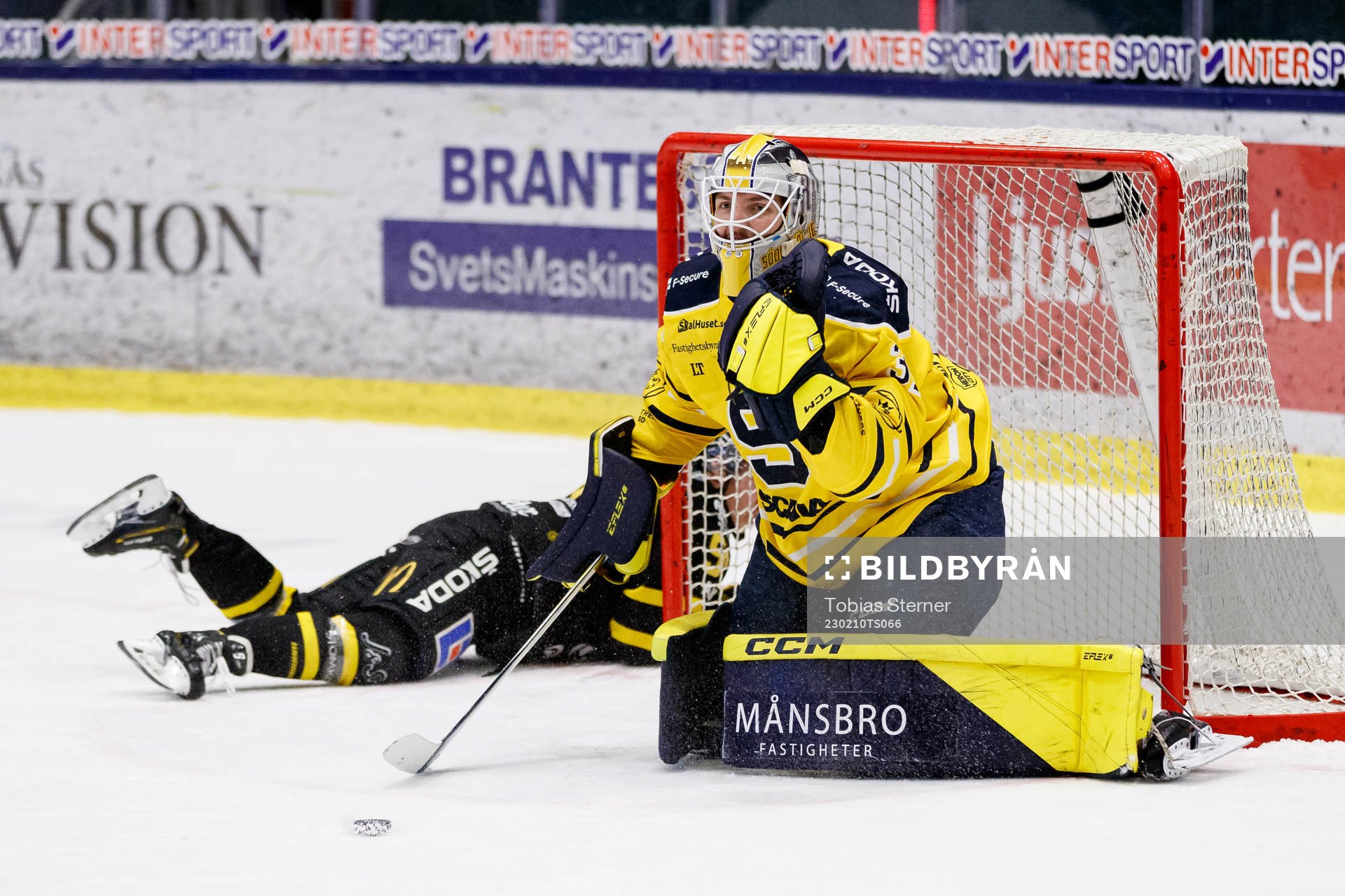 Södertäljes målvakt Nikita Tolopilo jublar