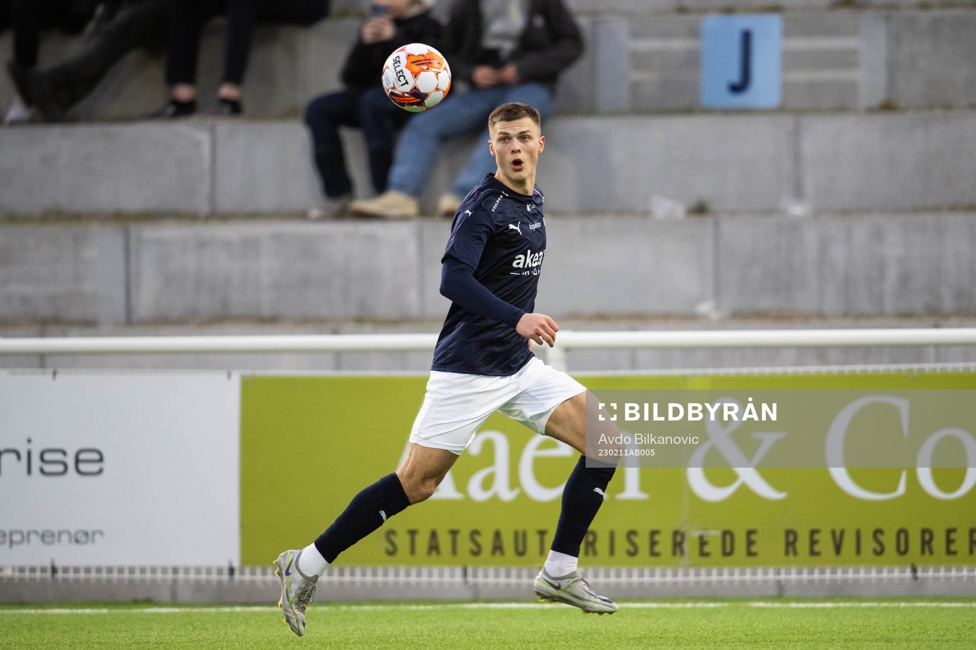 Helsingborgs Erik Ring