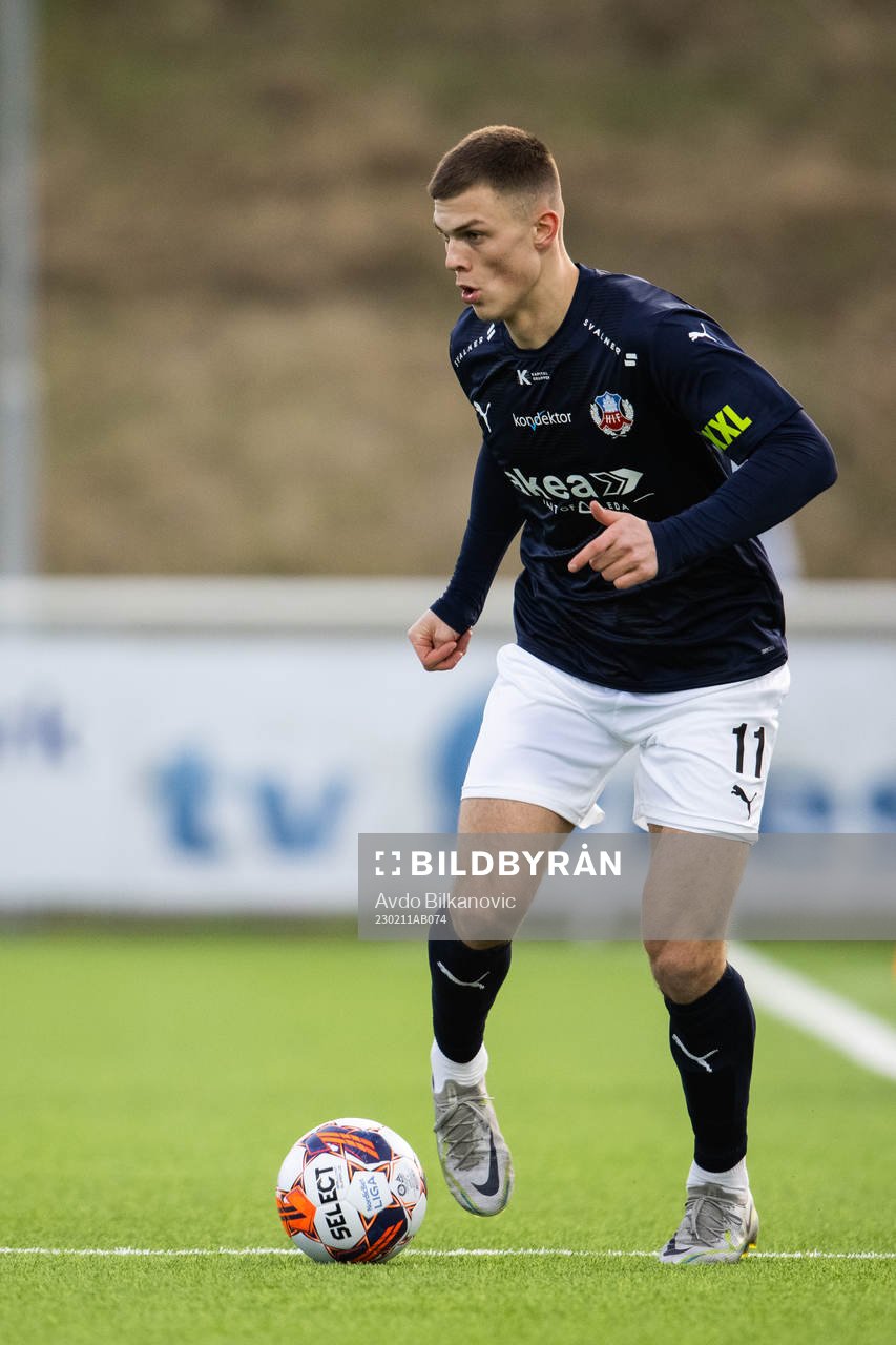 Helsingborgs Erik Ring