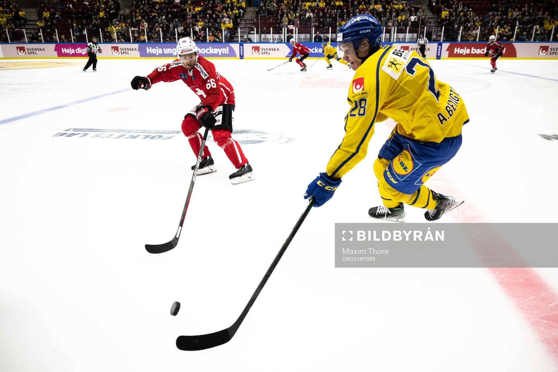 David Aebischer of Switzerland and Anton Bengtsson of Sweden