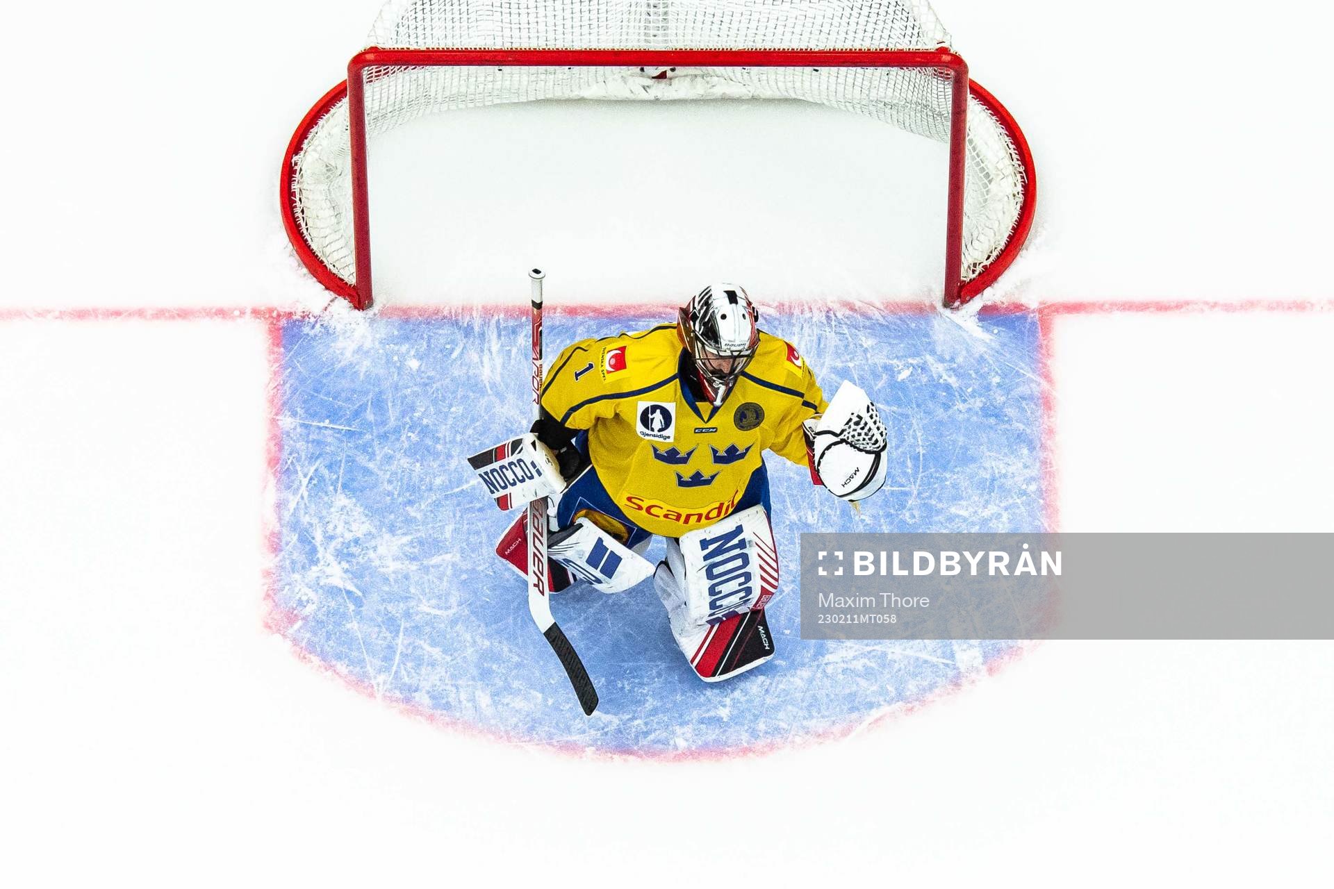 Goalkeeper Jhonas Enroth of Sweden celebrates
