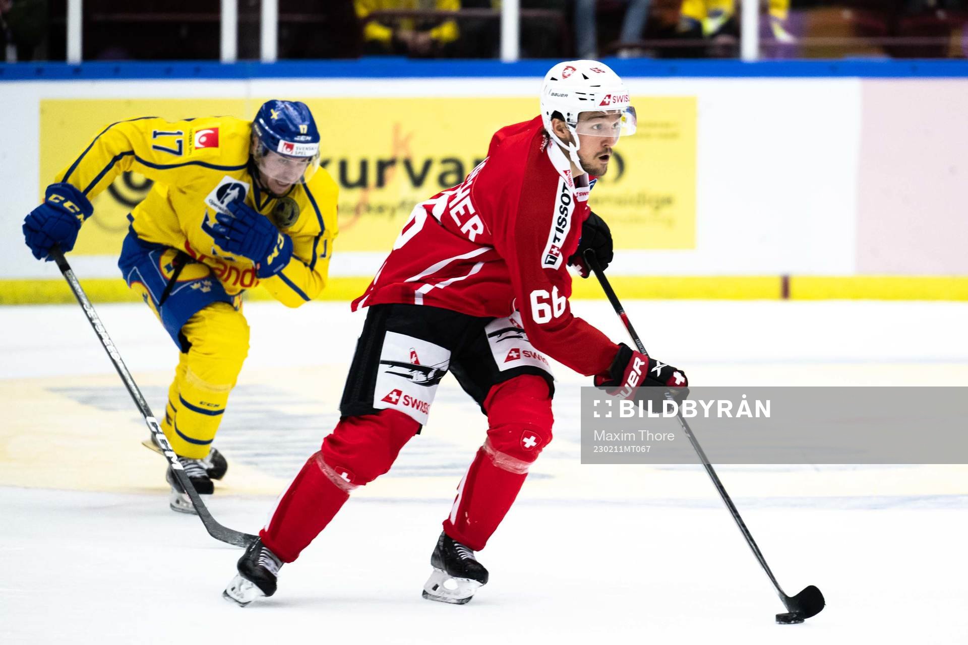 David Aebischer of Switzerland