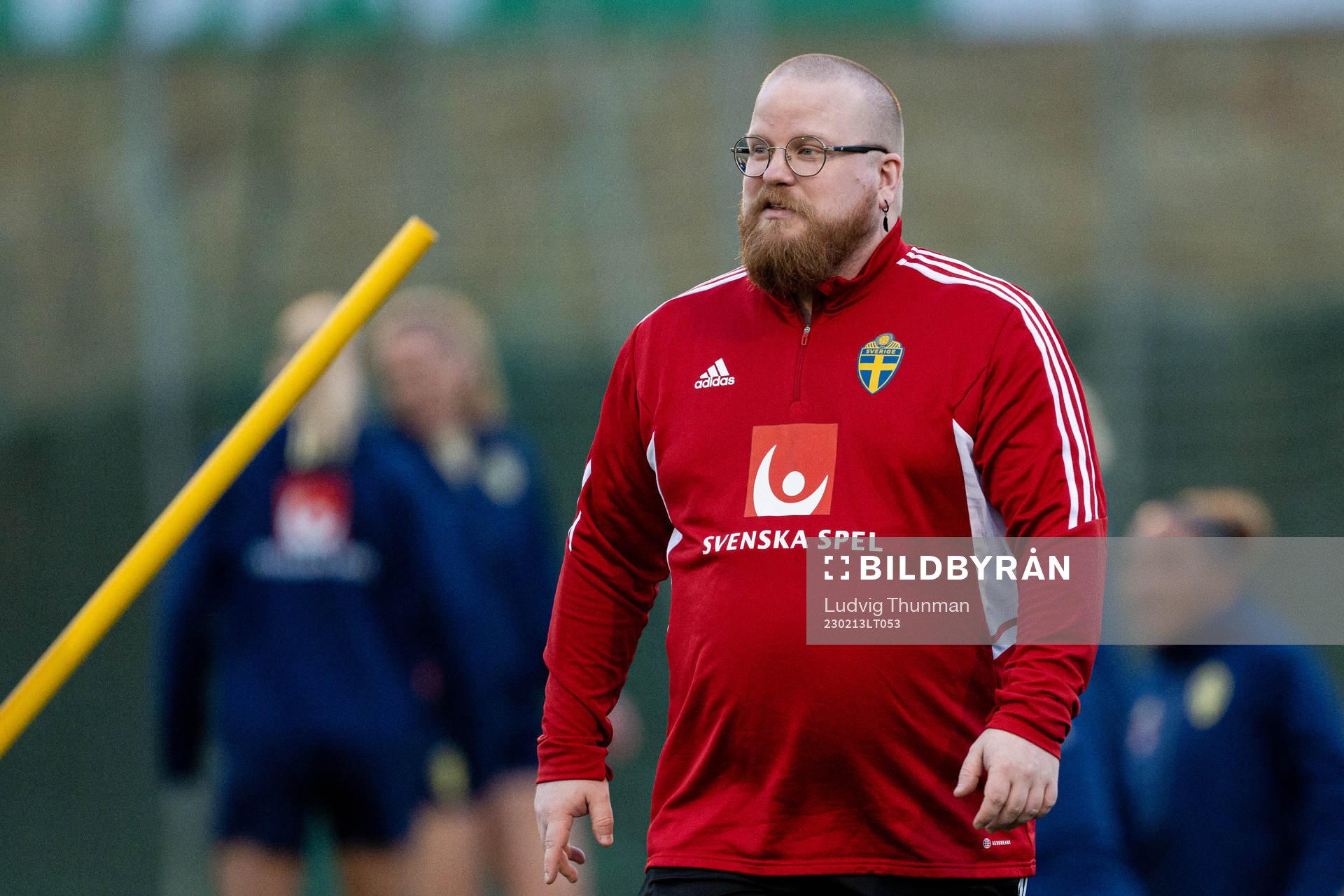 Analyst Anders Eriksson of the Swedish women's national