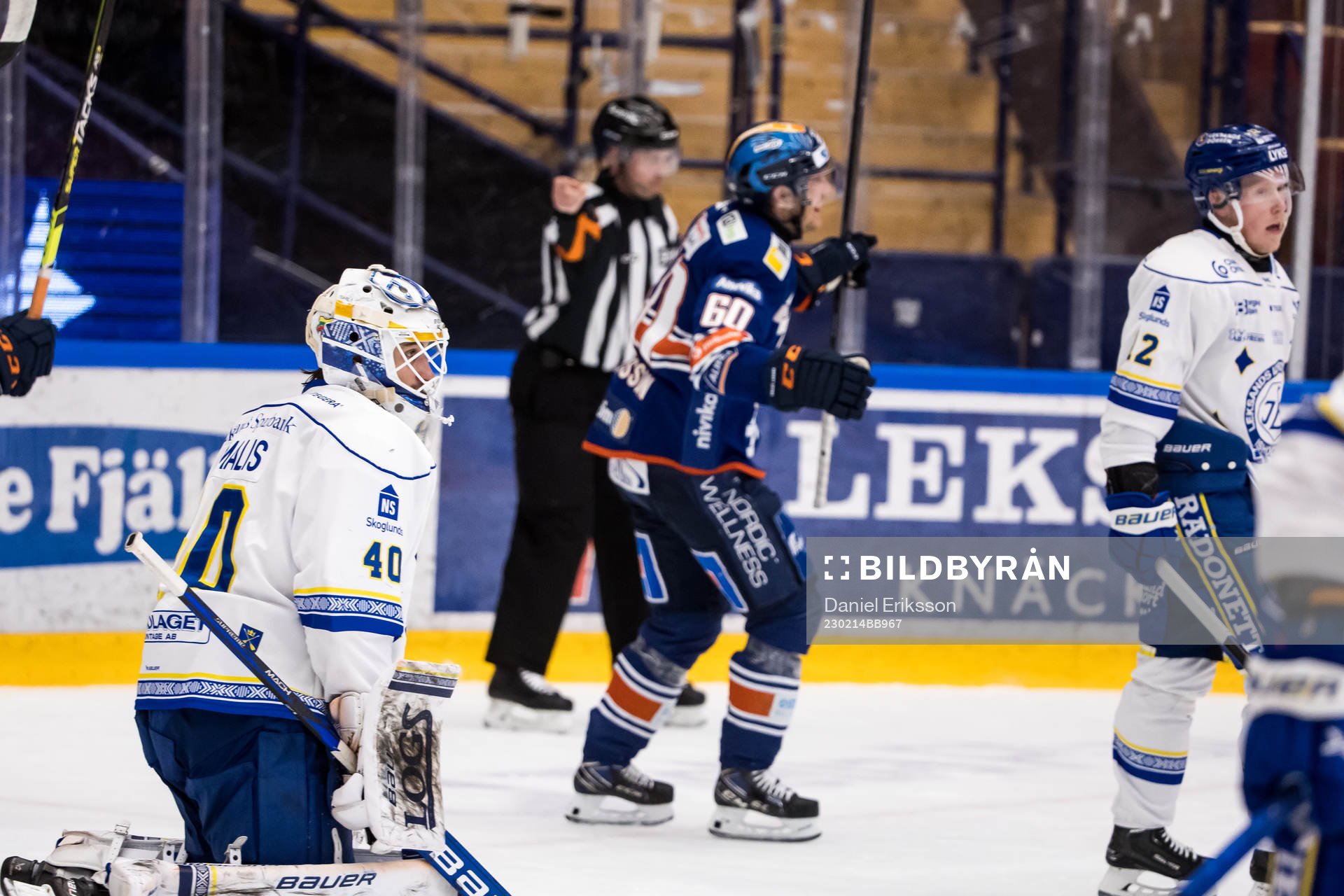 Leksands målvakt Mantas Armalis depp
