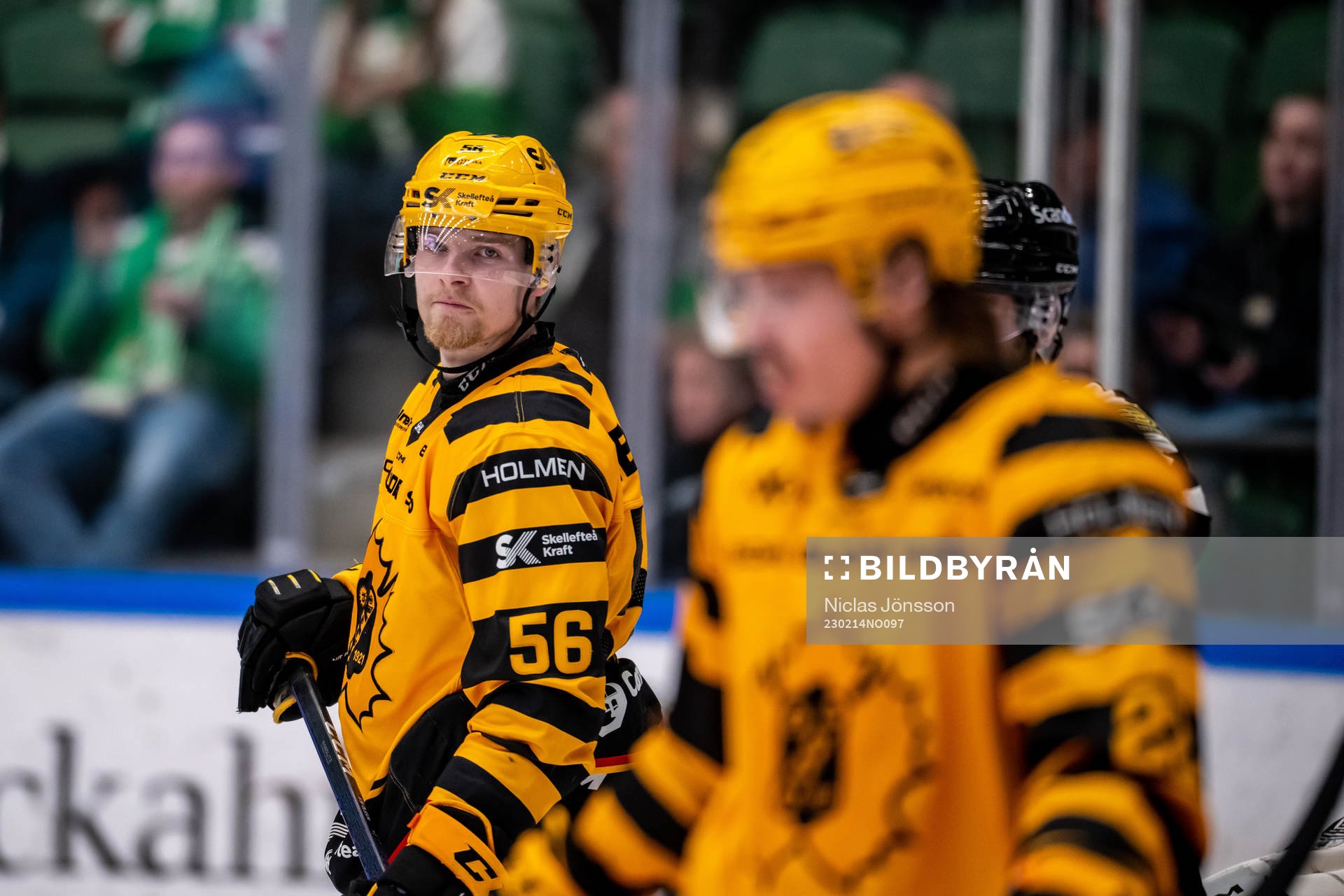 Skellefteås Anton Olsson