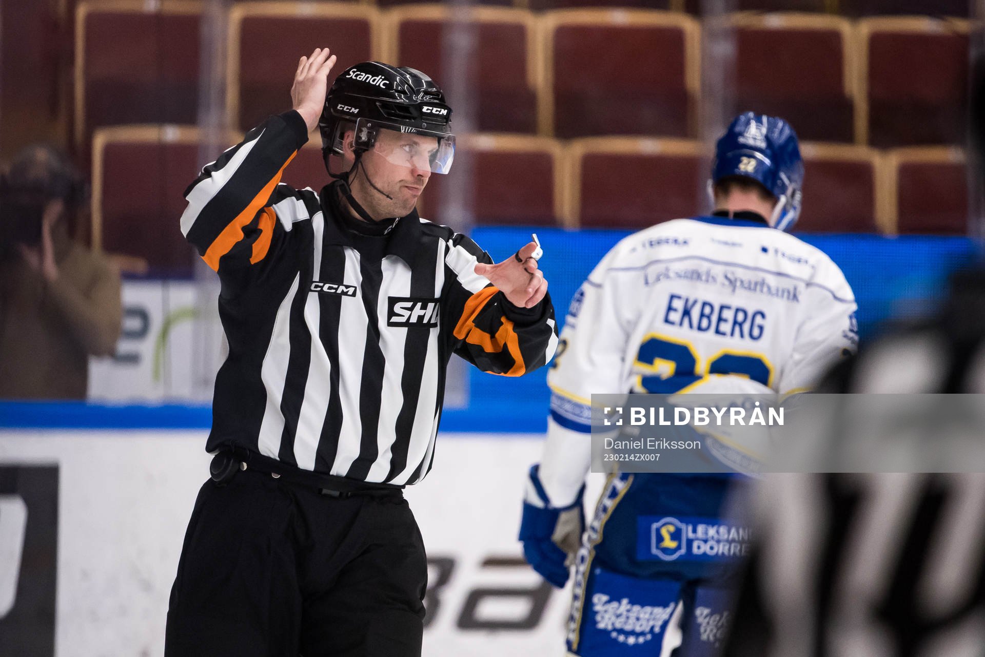 Domare Johan Magnusson