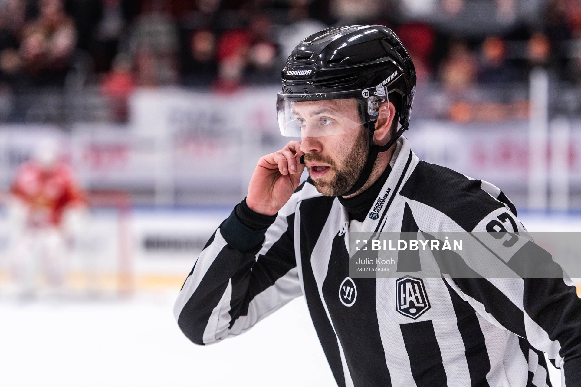 Domare Robin Jacobsson