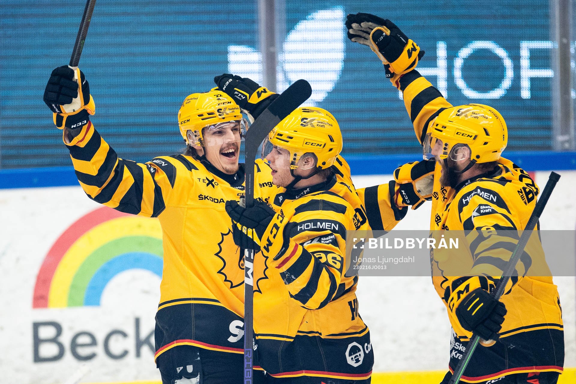 Skellefteås Jonathan Johnsson jublar med lagkamrater