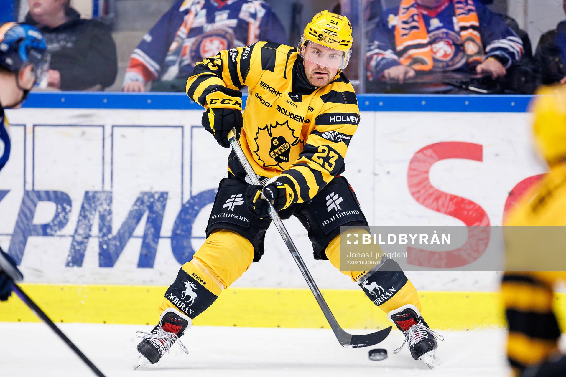 Skellefteås Adam Mascherin