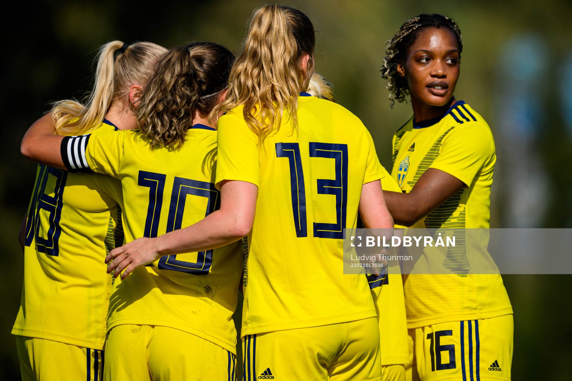 Players of Sweden celebrates
