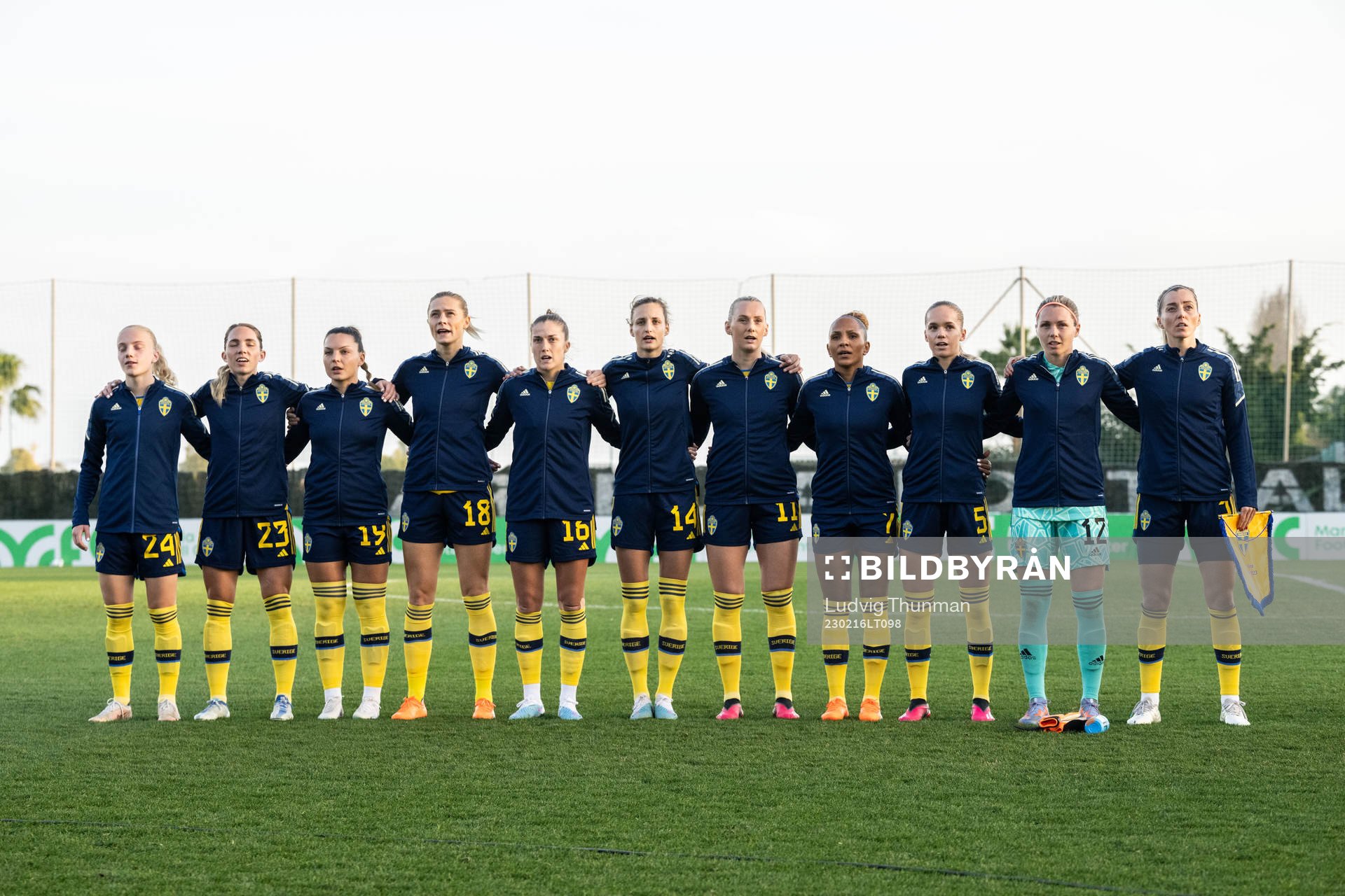 The players of Sweden