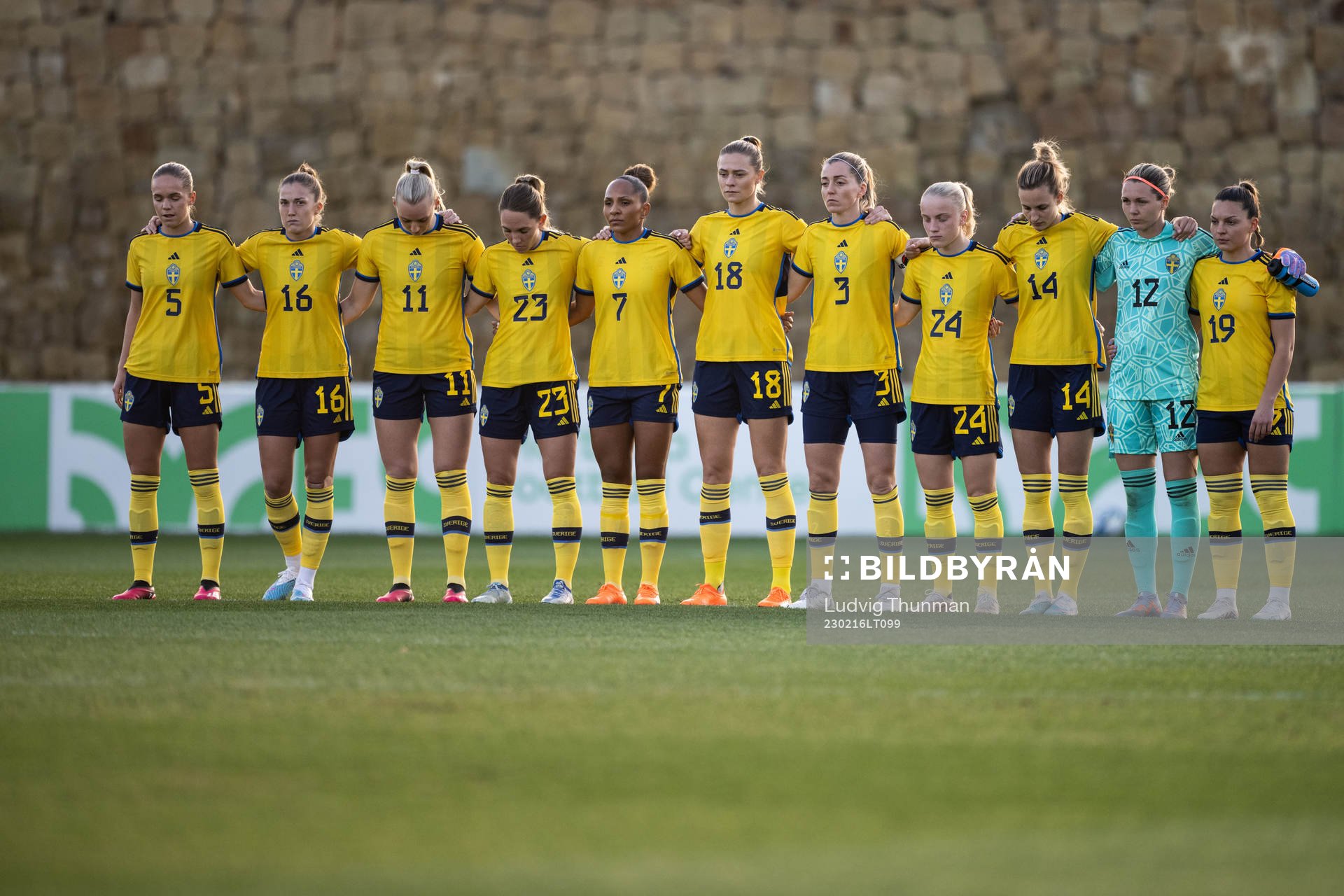 The players of Sweden