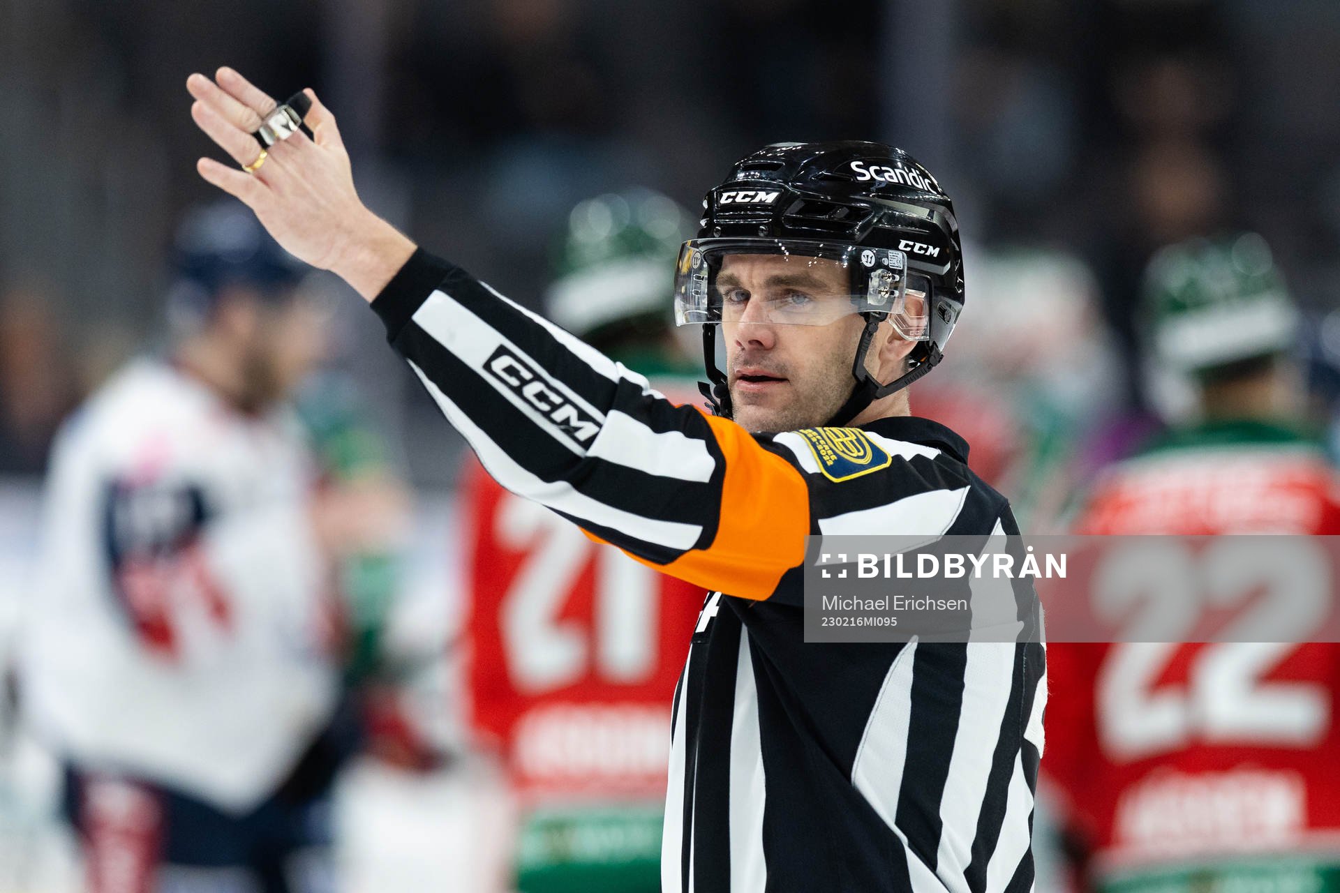 Domare Richard Magnusson
