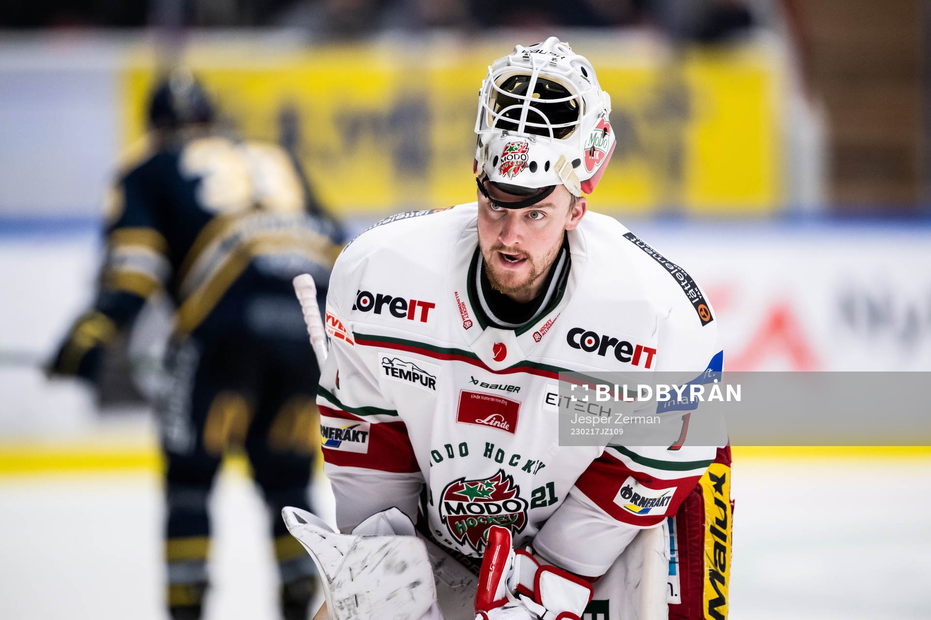 Modos målvakt Tex Williamsson