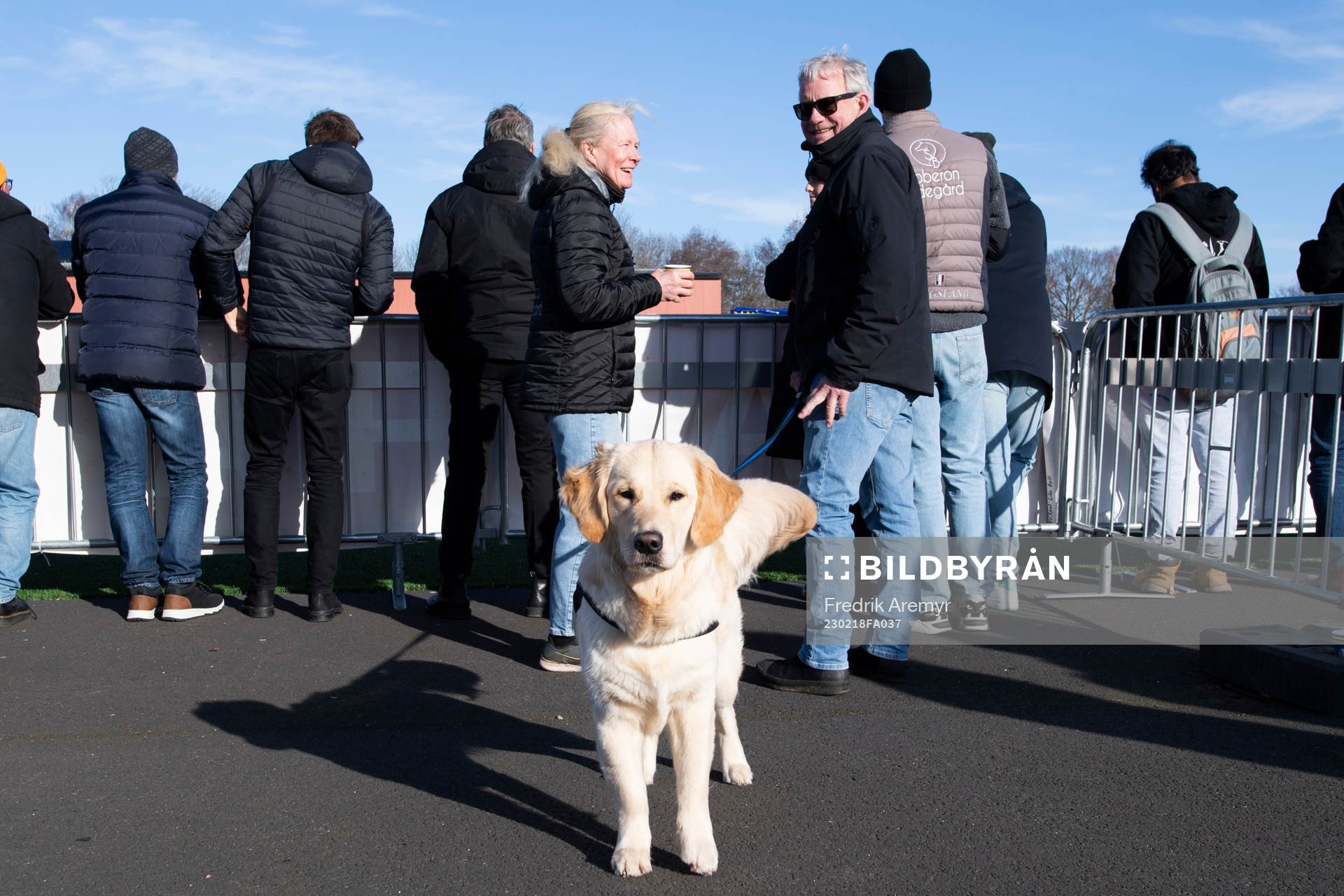 En hund