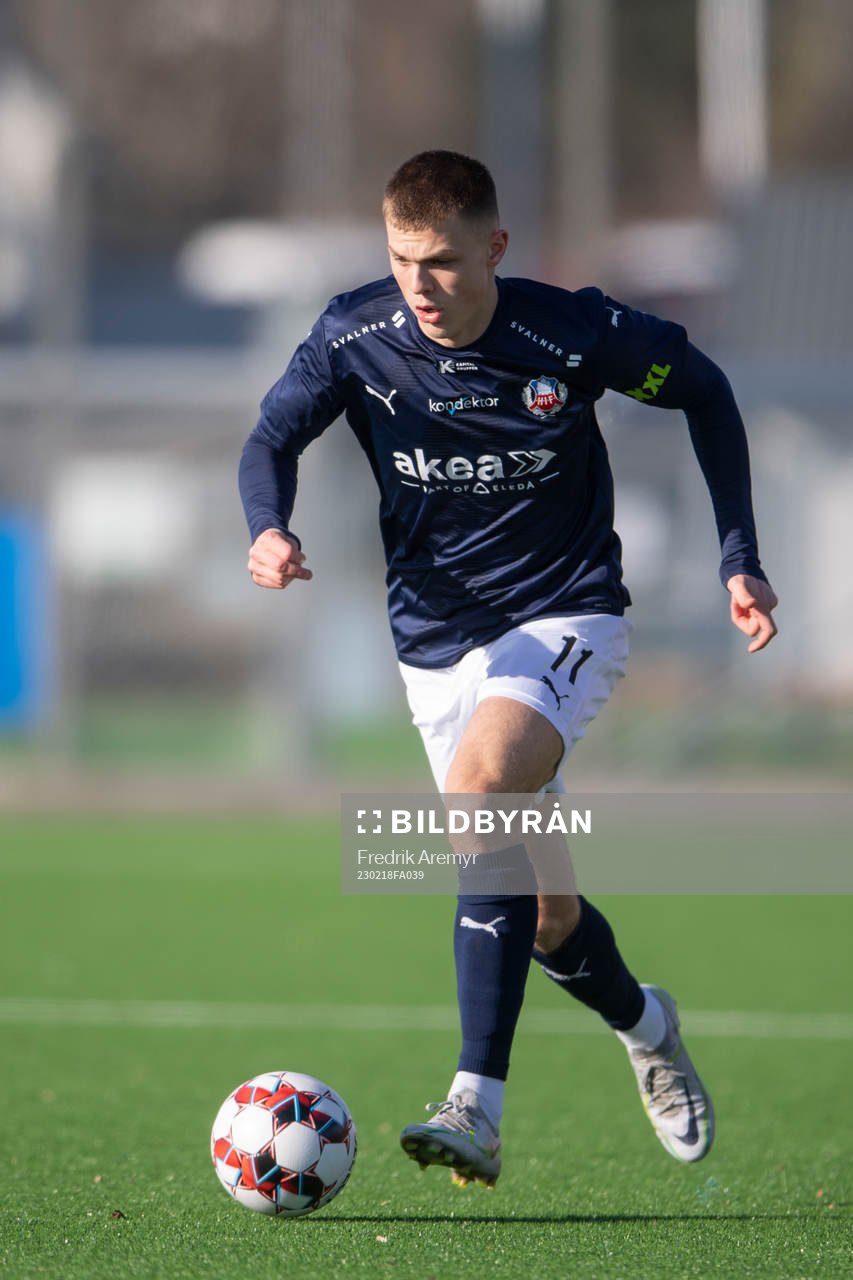 Helsingborgs Erik Ring