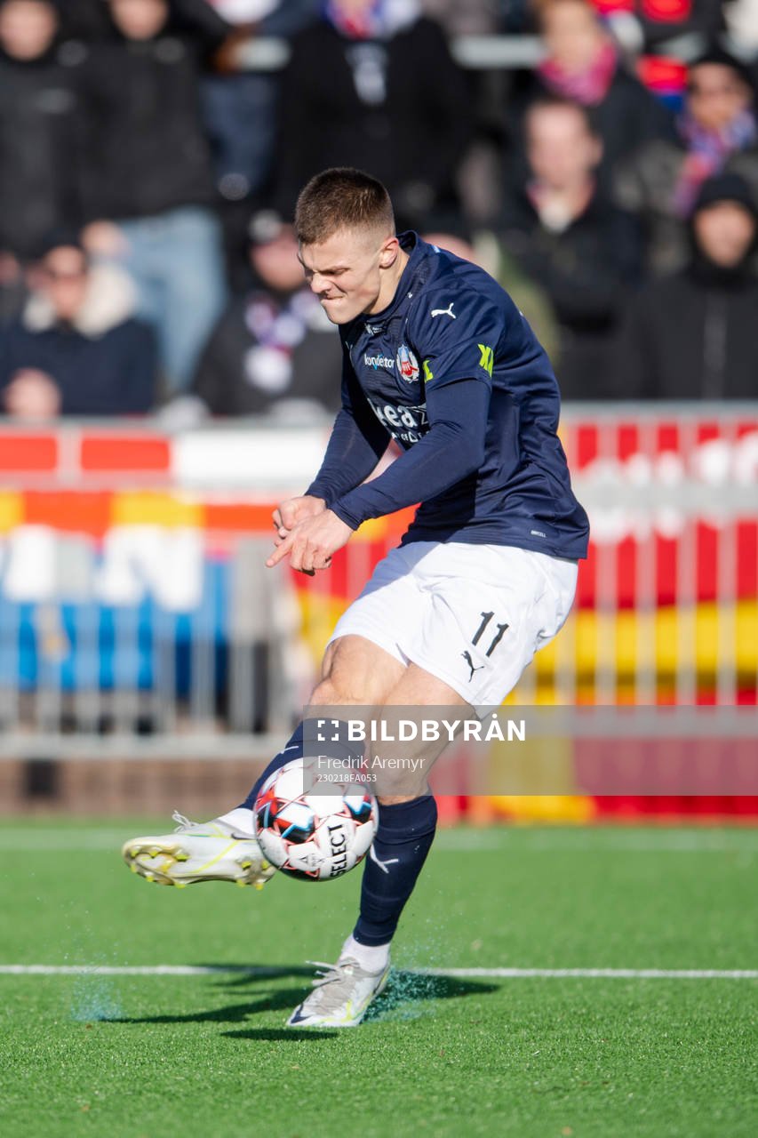 Helsingborgs Erik Ring