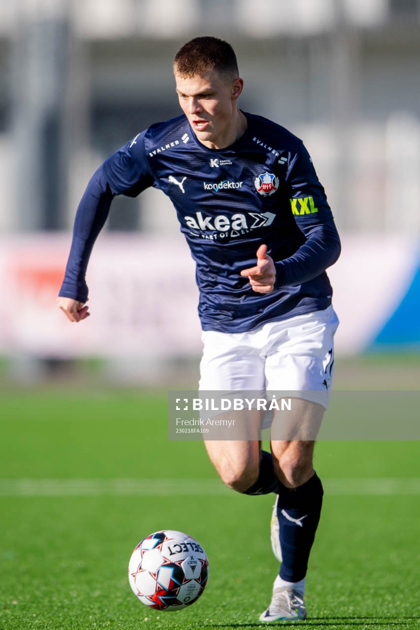 Helsingborgs Erik Ring