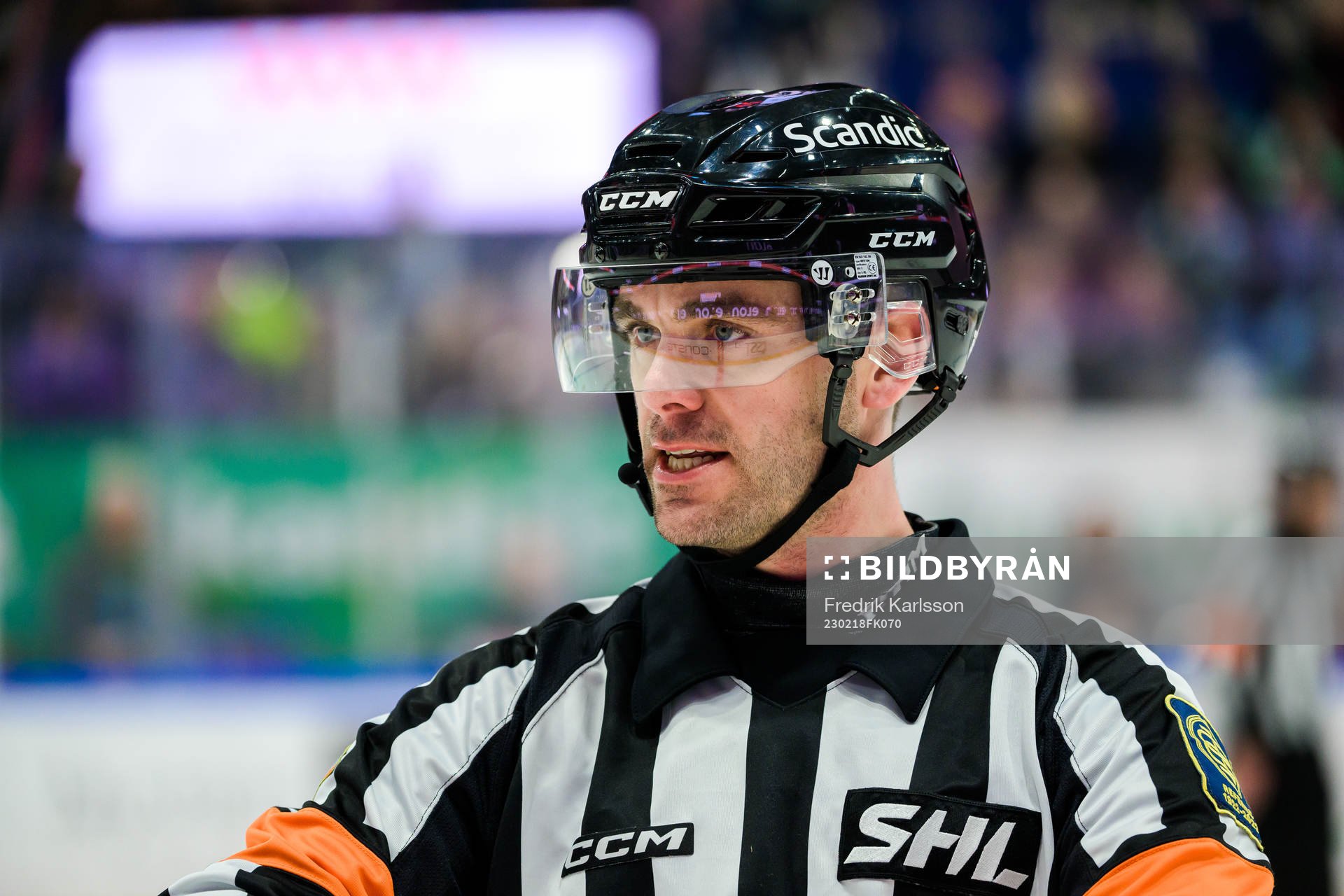 Domare Richard Magnusson