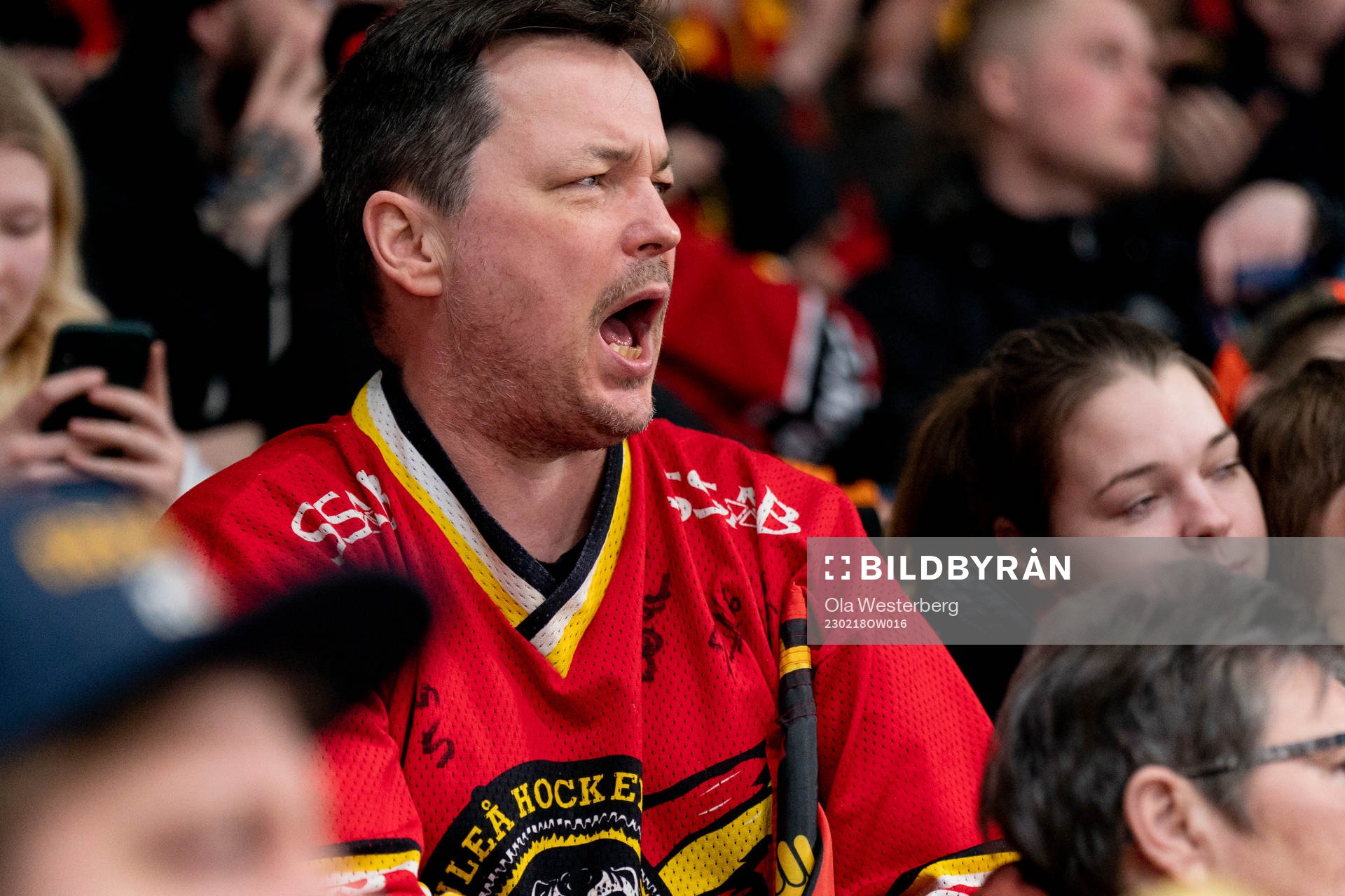 Supporter of Luleås