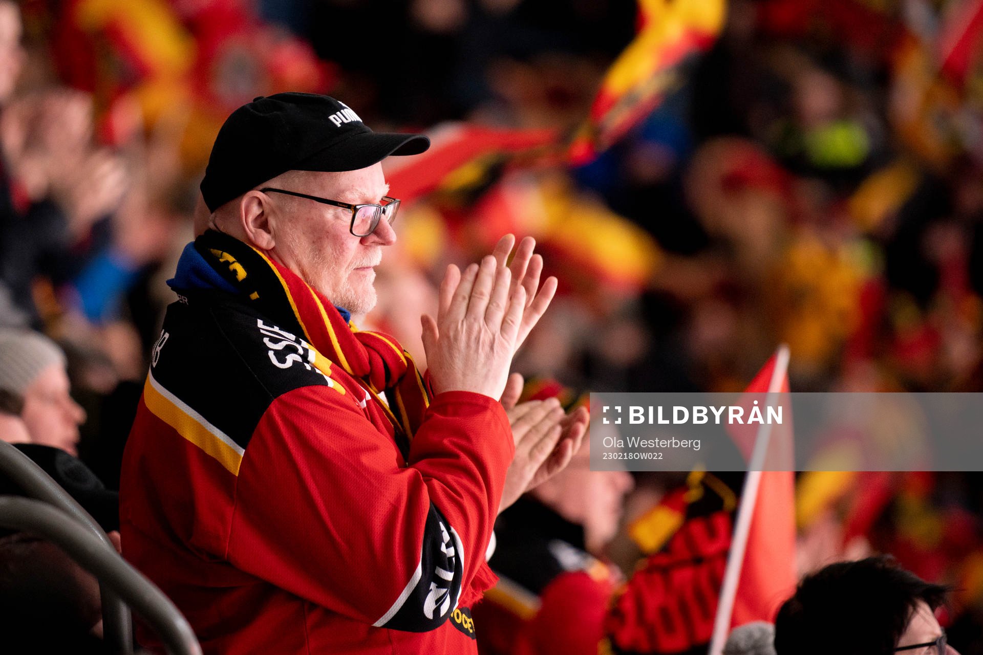 Supporter of Luleå
