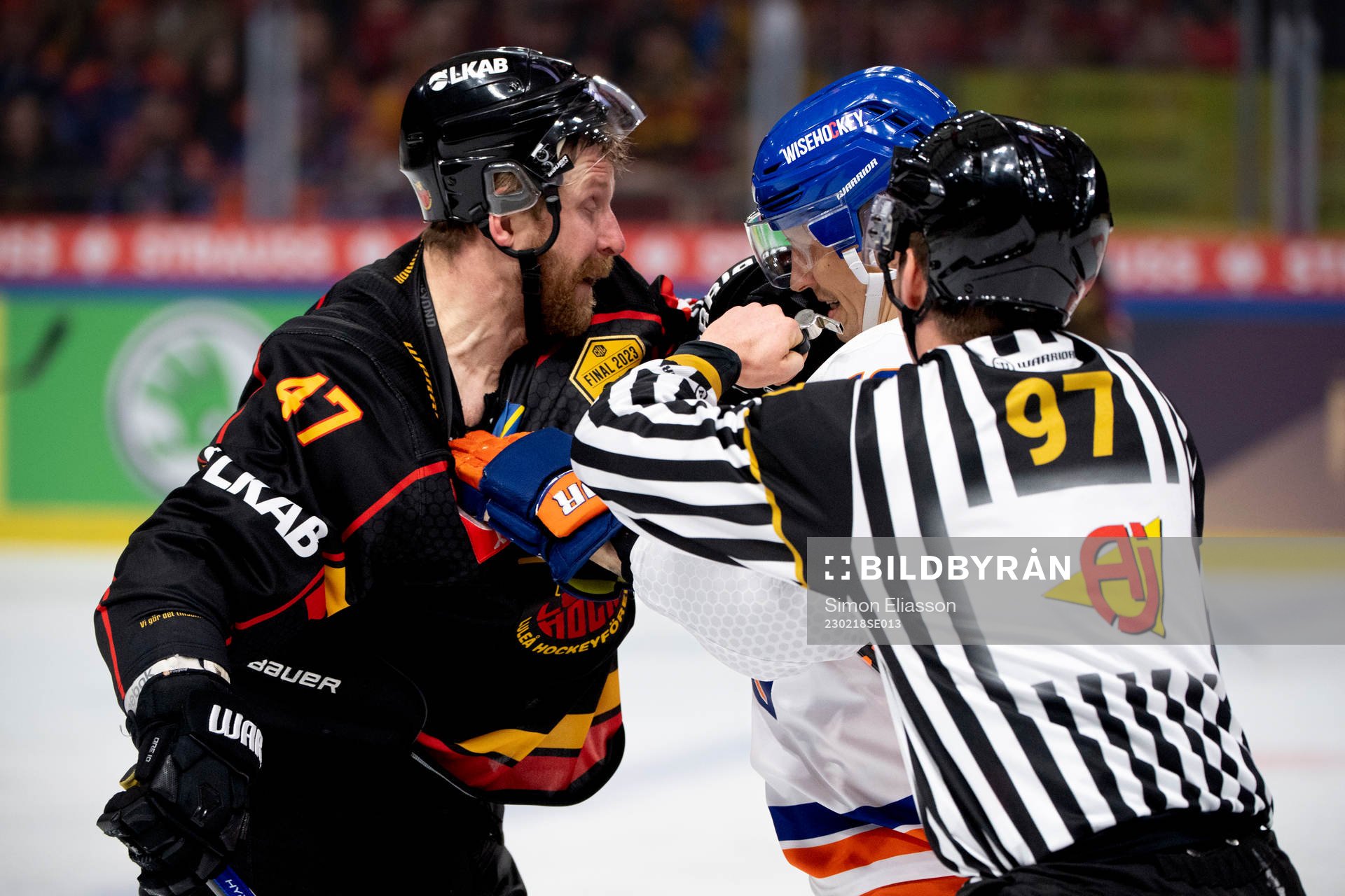 Luleås Leo Komarov and Tapparas Veli Matti Savinainen