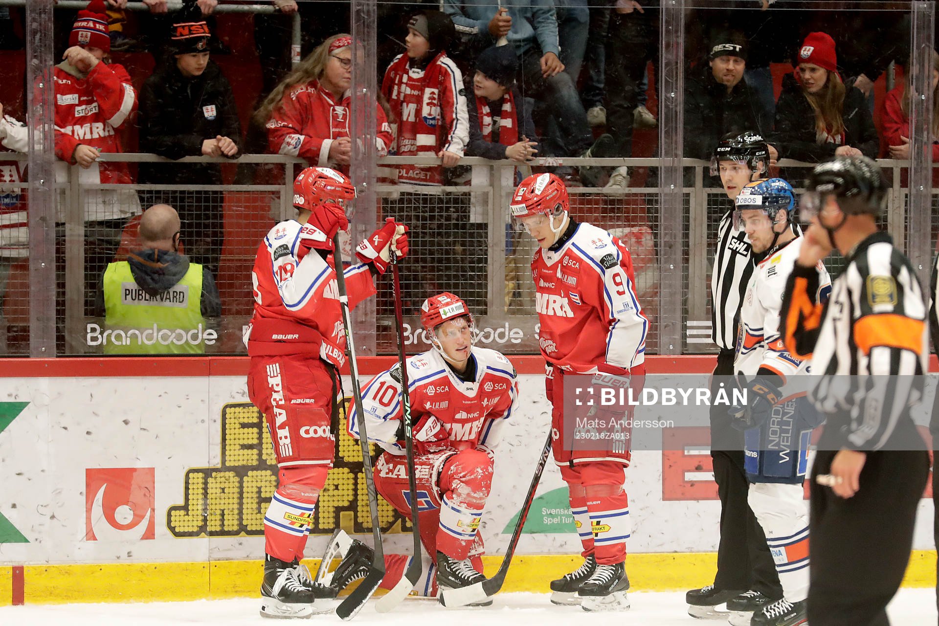 Timrås Robin Alvarez