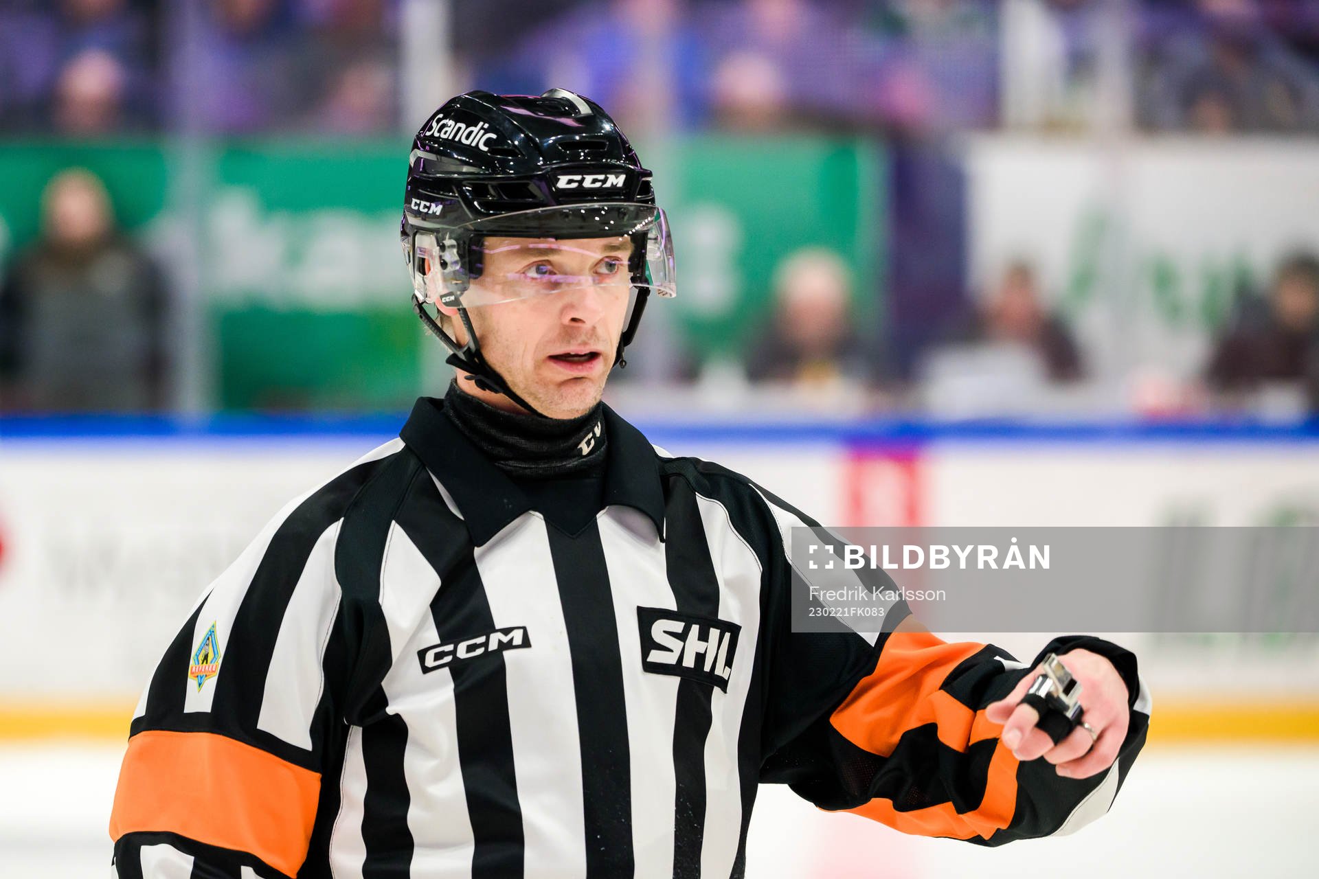 Domare Mikael Andersson