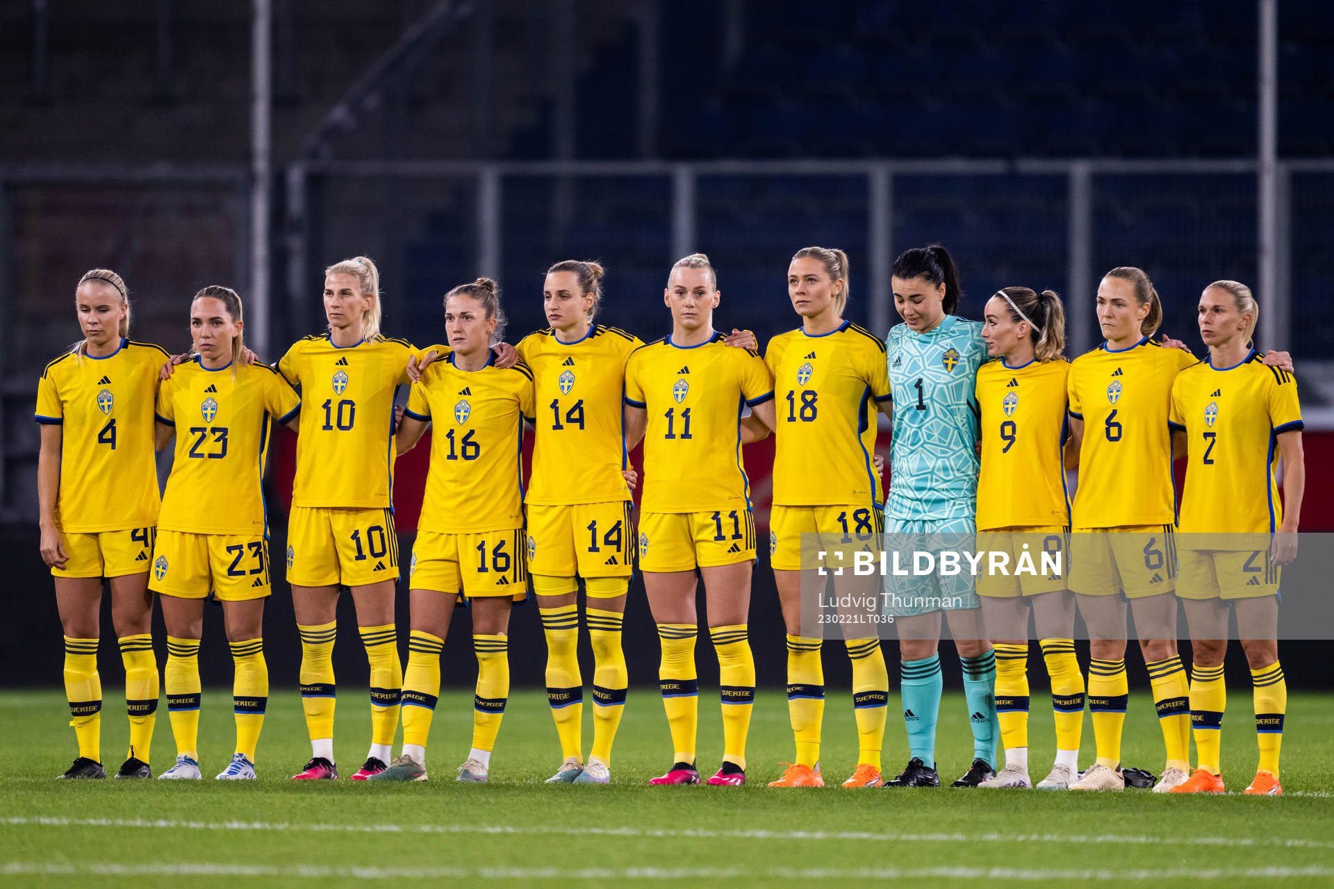Players of Sweden